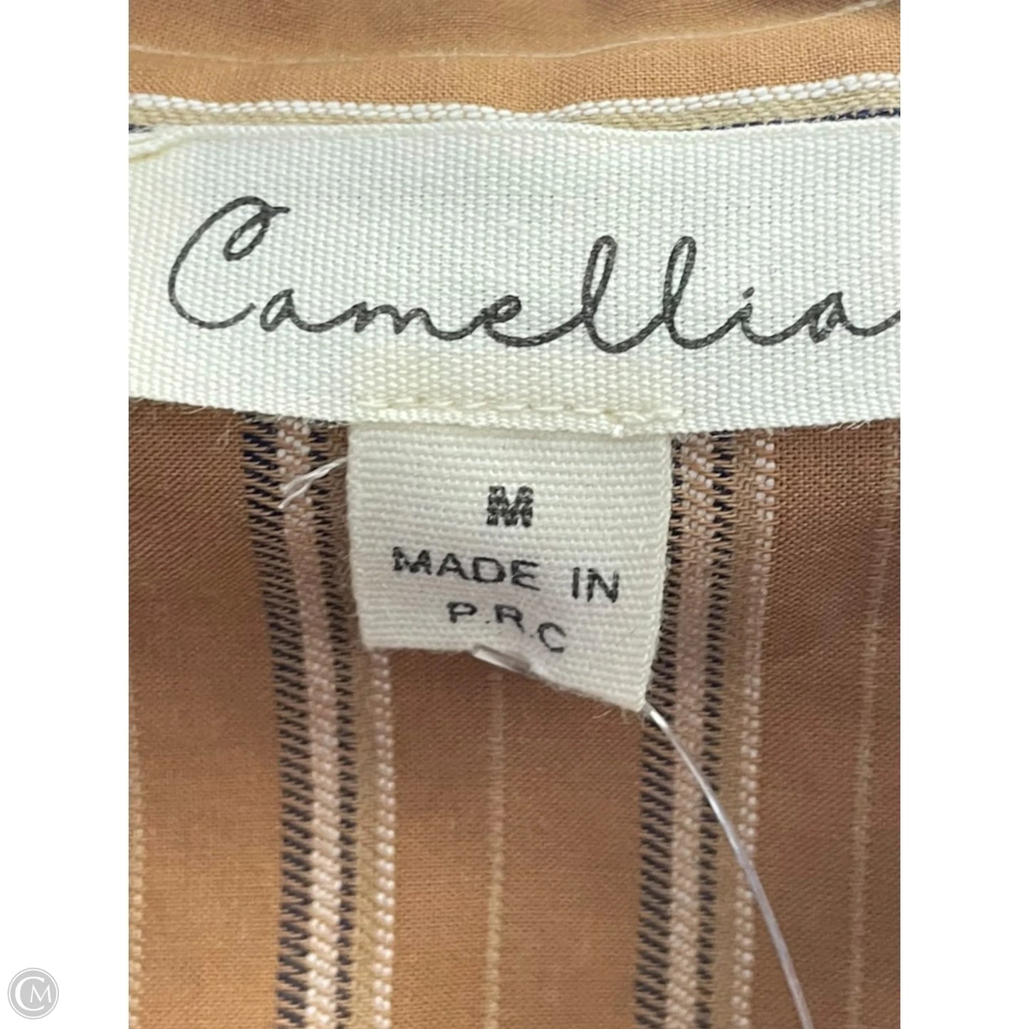 Dress Casual Short By Clothes Mentor In Striped Pattern, Size: M