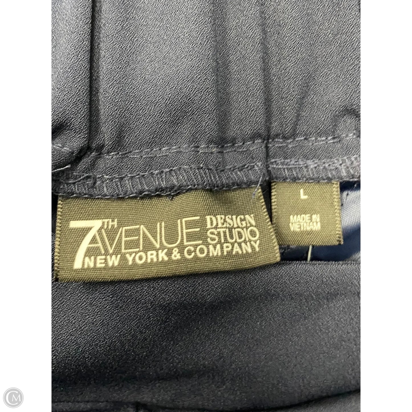 Pants Other By New York And Co In Blue, Size: L