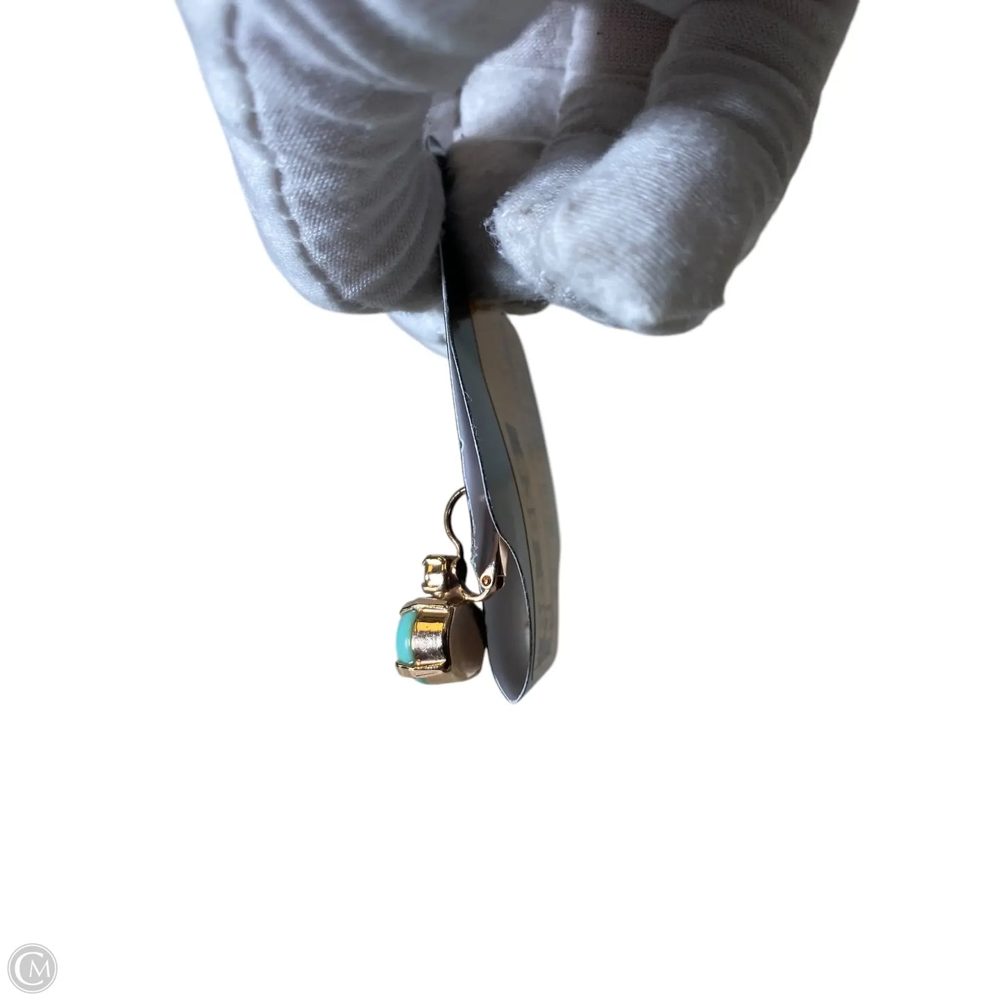 Earrings Clip By Clothes Mentor