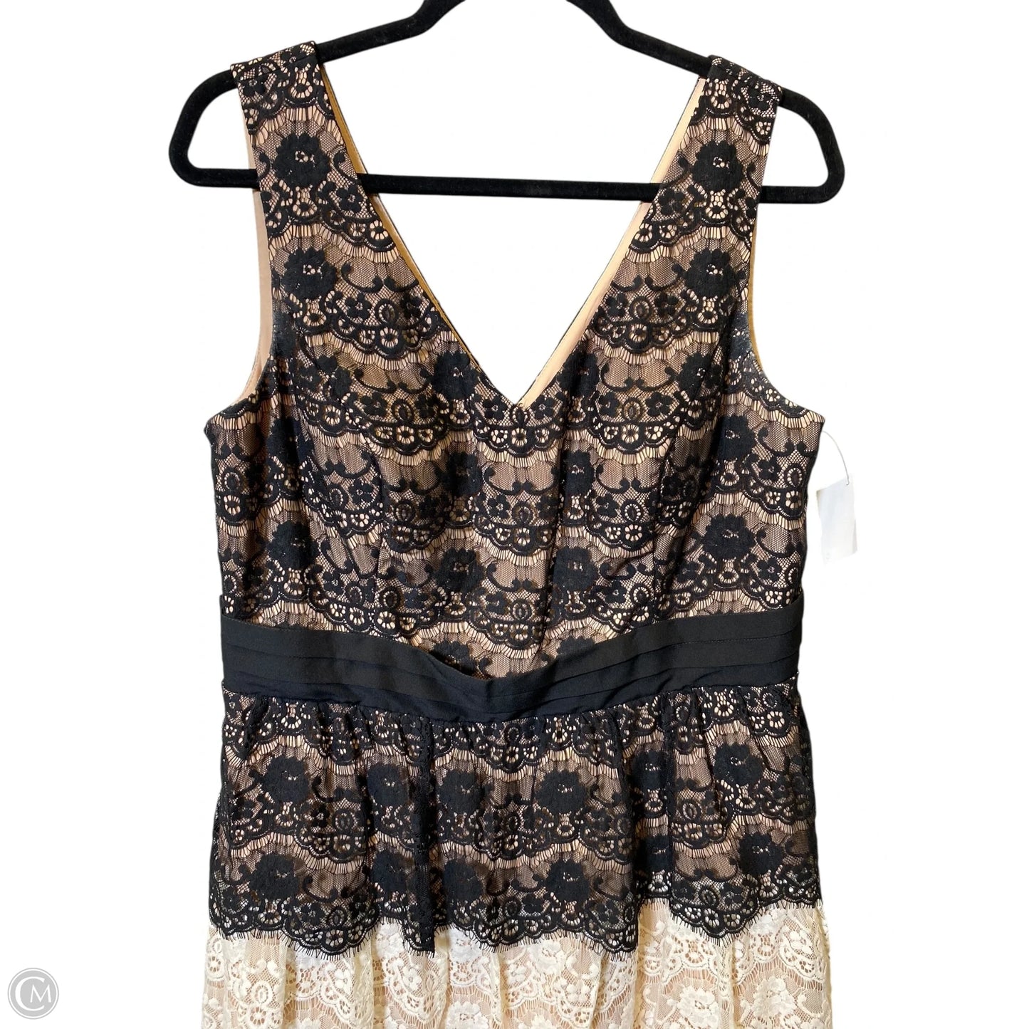 Dress Casual Short By Jessica Simpson In Multi-colored, Size: 12