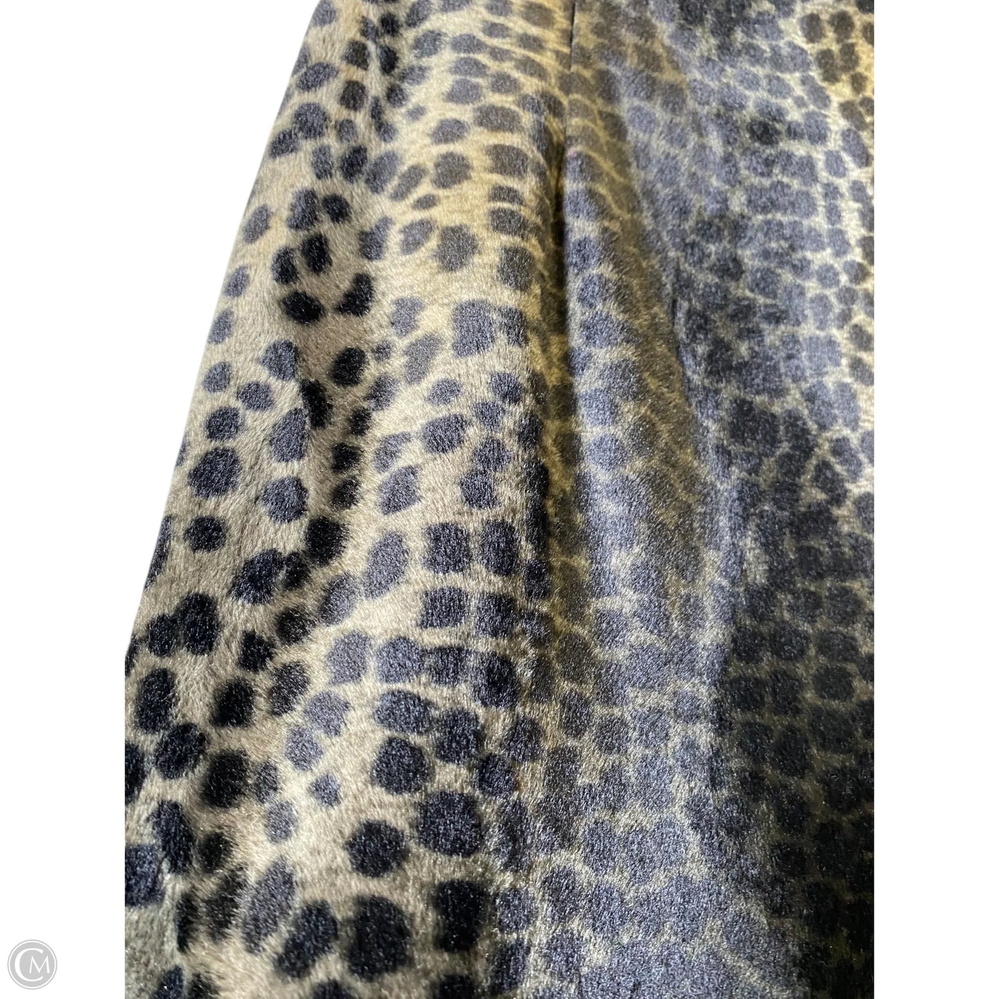 Skirt Mini & Short By Clothes Mentor In Animal Print, Size: S