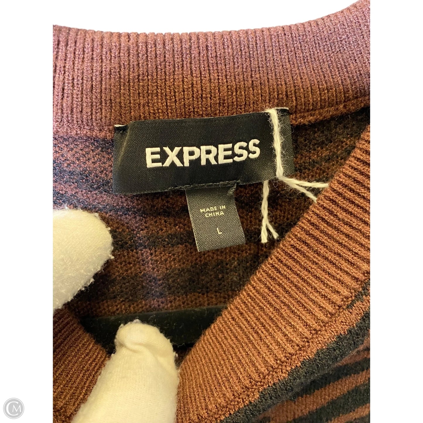 Sweater By Express In Animal Print, Size: L