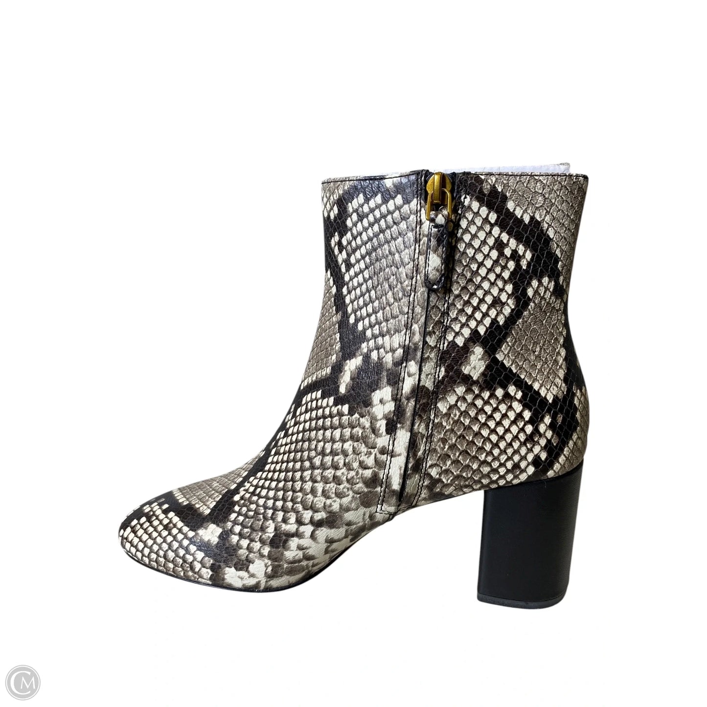 Boots Designer By Tory Burch In Snakeskin Print, Size: 8.5