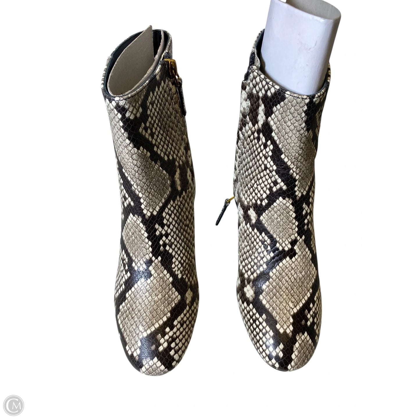 Boots Designer By Tory Burch In Snakeskin Print, Size: 8.5