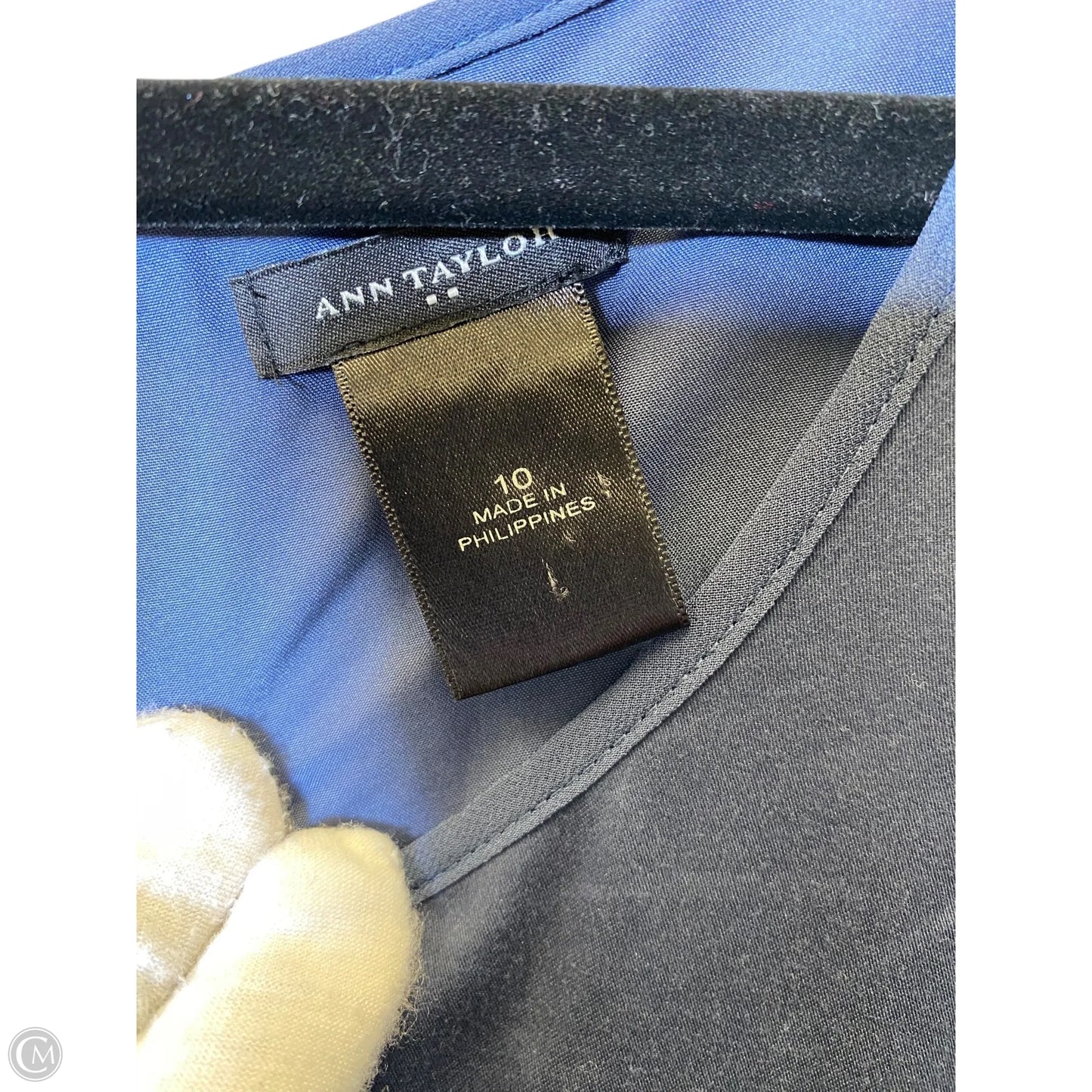 Dress Casual Short By Ann Taylor In Navy, Size: 10