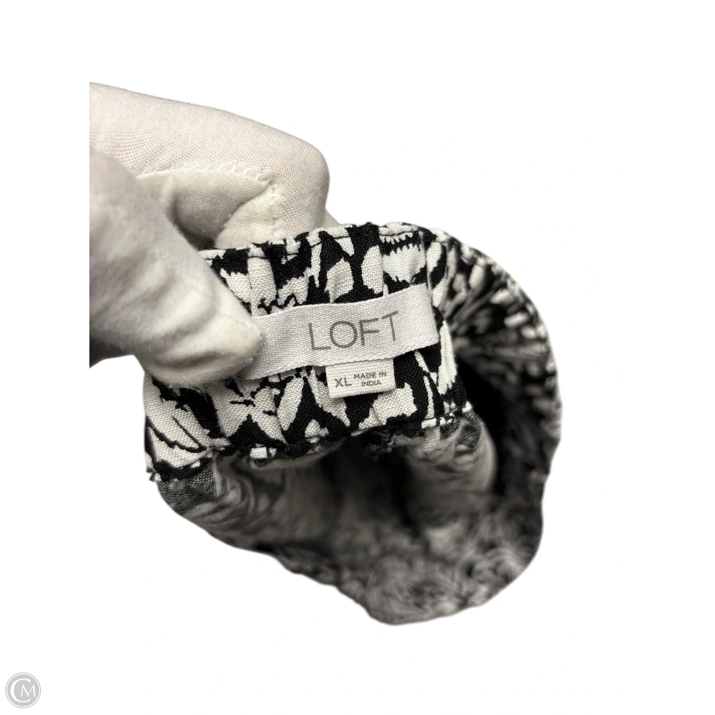 Shorts By Loft In Black, Size: Xl