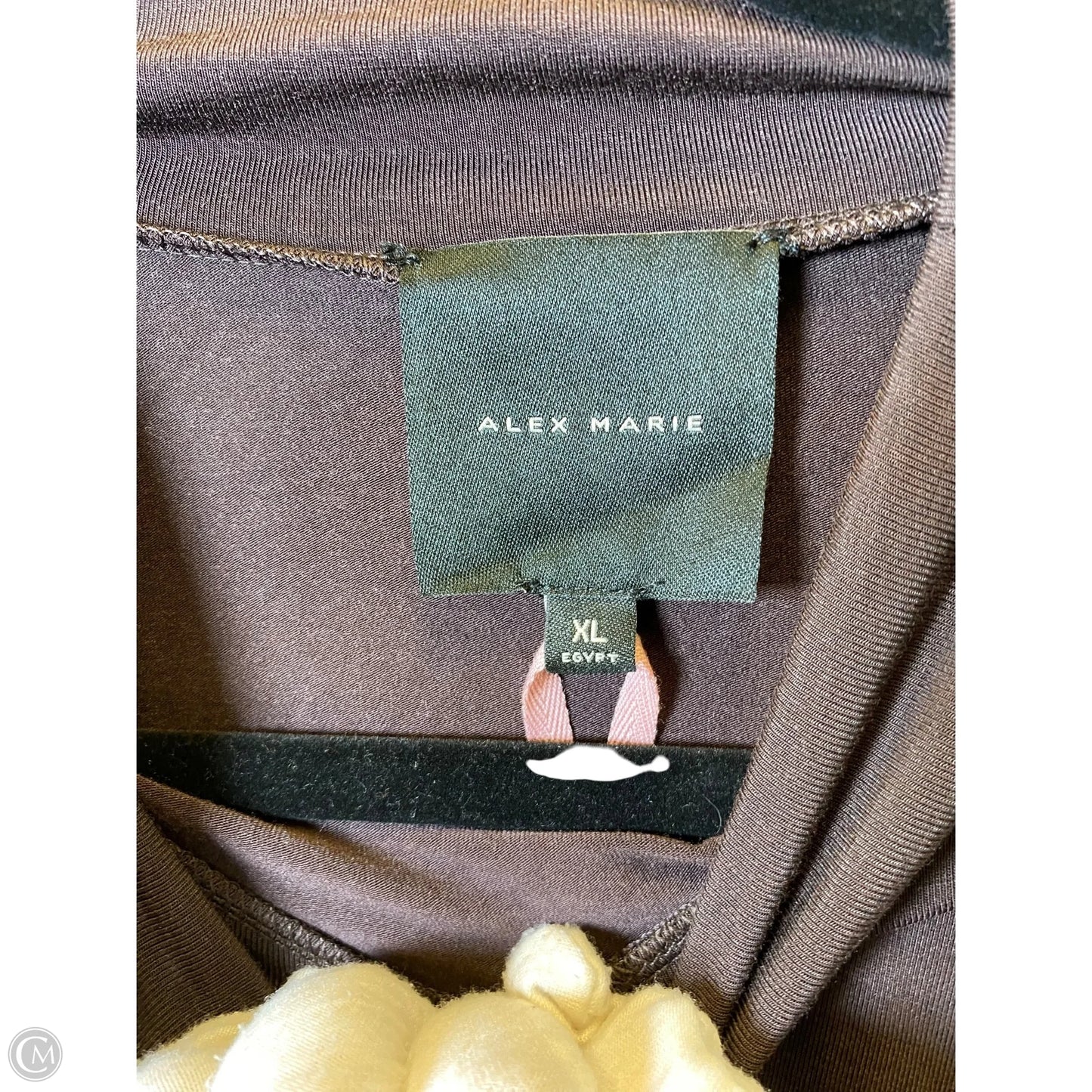 Top Long Sleeve By Alex Marie In Brown, Size: Xl