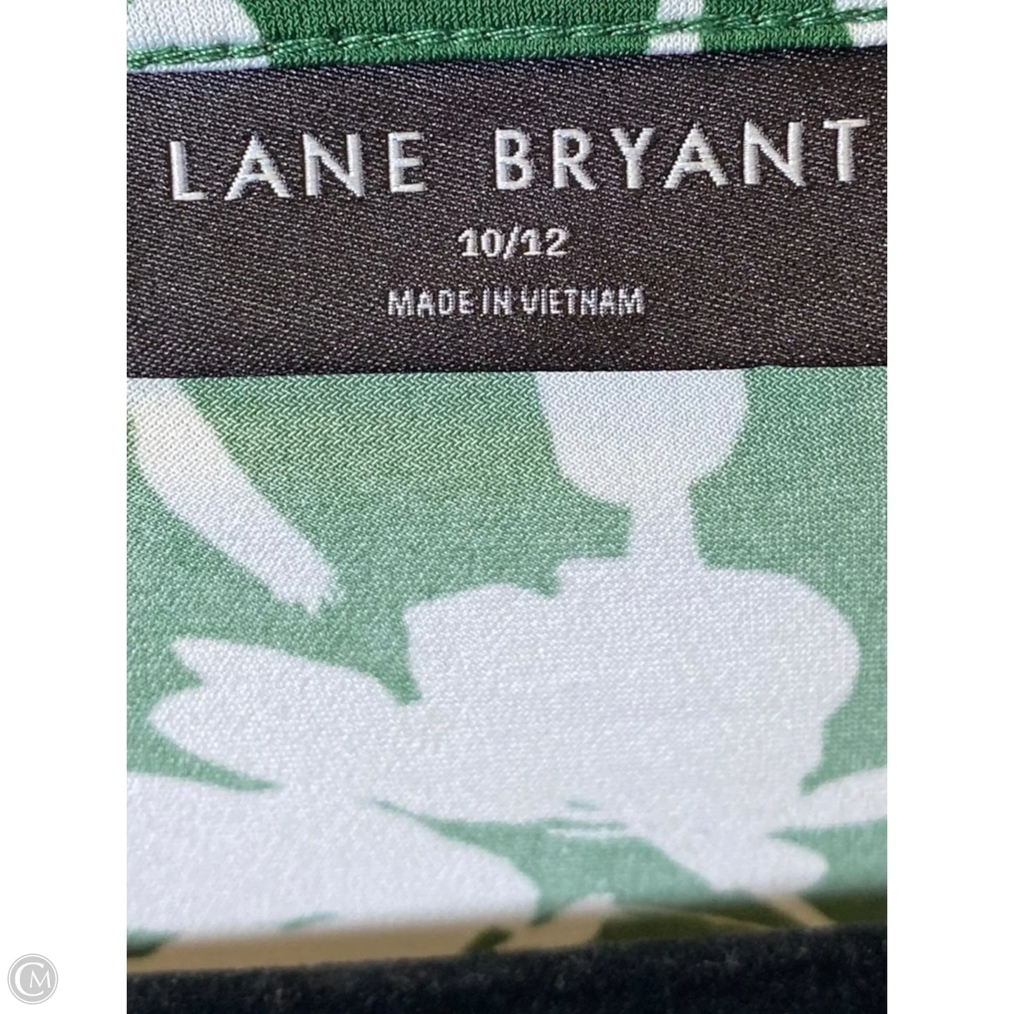 Blouse Short Sleeve By Lane Bryant In Green & White, Size: M