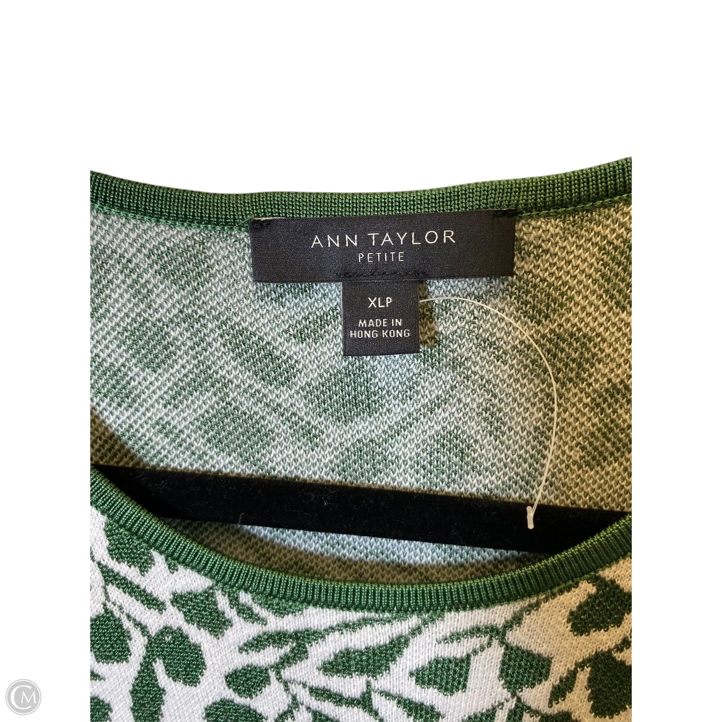 Dress Sweater By Ann Taylor In Green & White, Size: Xl
