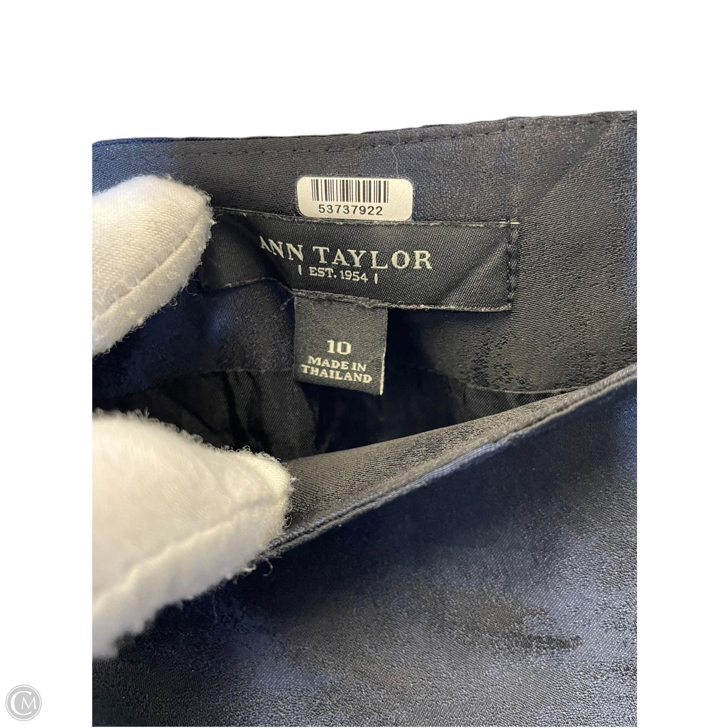 Skirt Mini & Short By Ann Taylor In Black & Blue, Size: 10