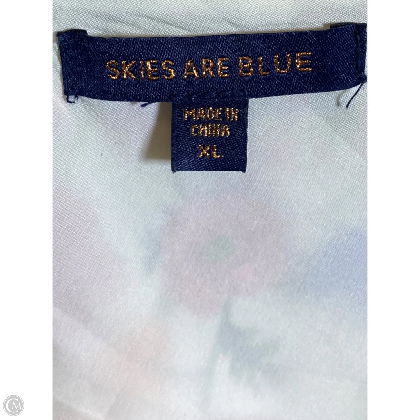 Top Sleeveless By Skies Are Blue In Floral Print, Size: Xl