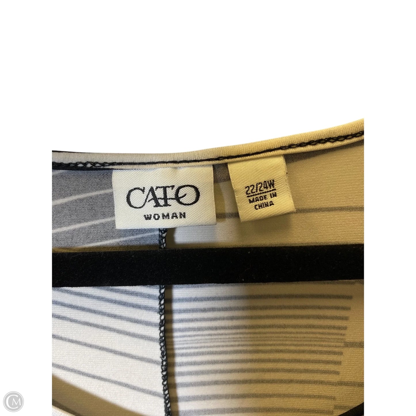 Top Short Sleeve By Cato In Black & Cream, Size: 2x