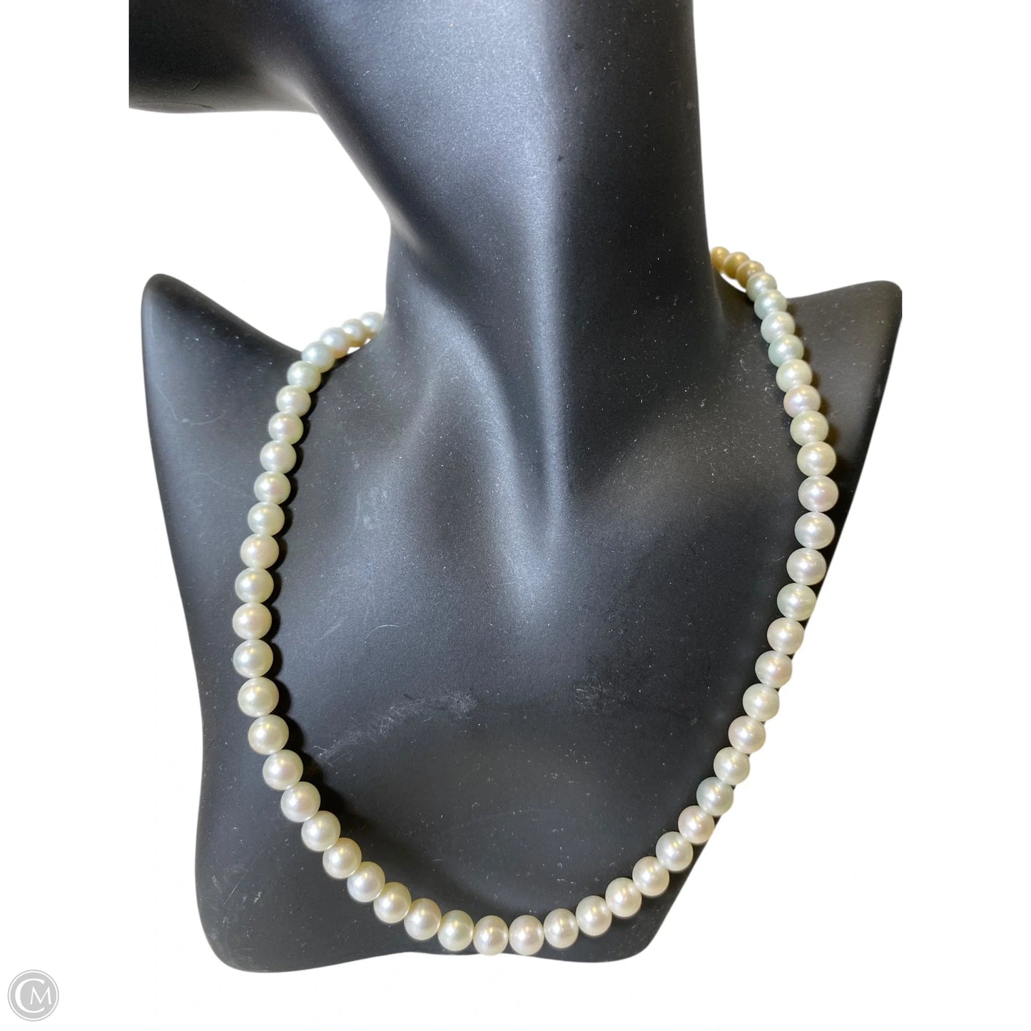 Necklace Choker & Collar By Clothes Mentor