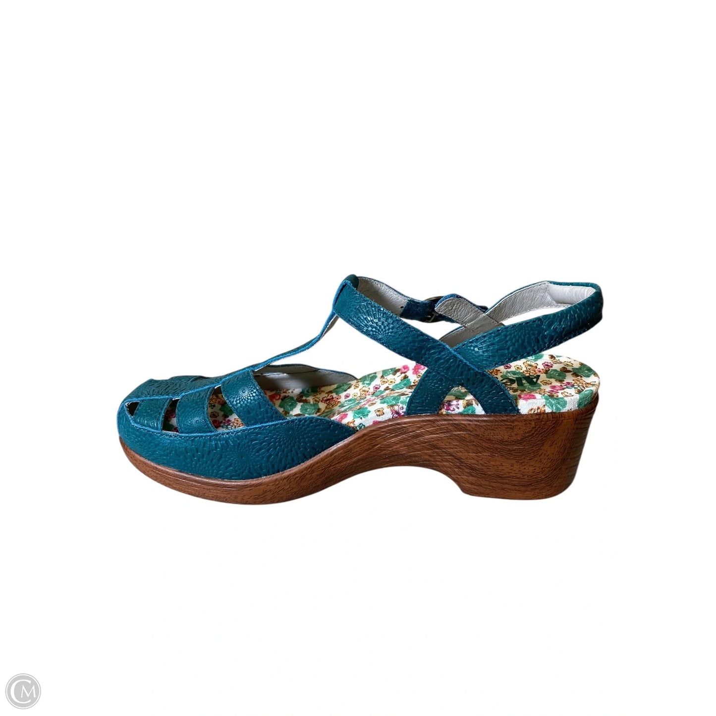 Shoes Flats By Alegria In Multi-colored, Size: 10.5
