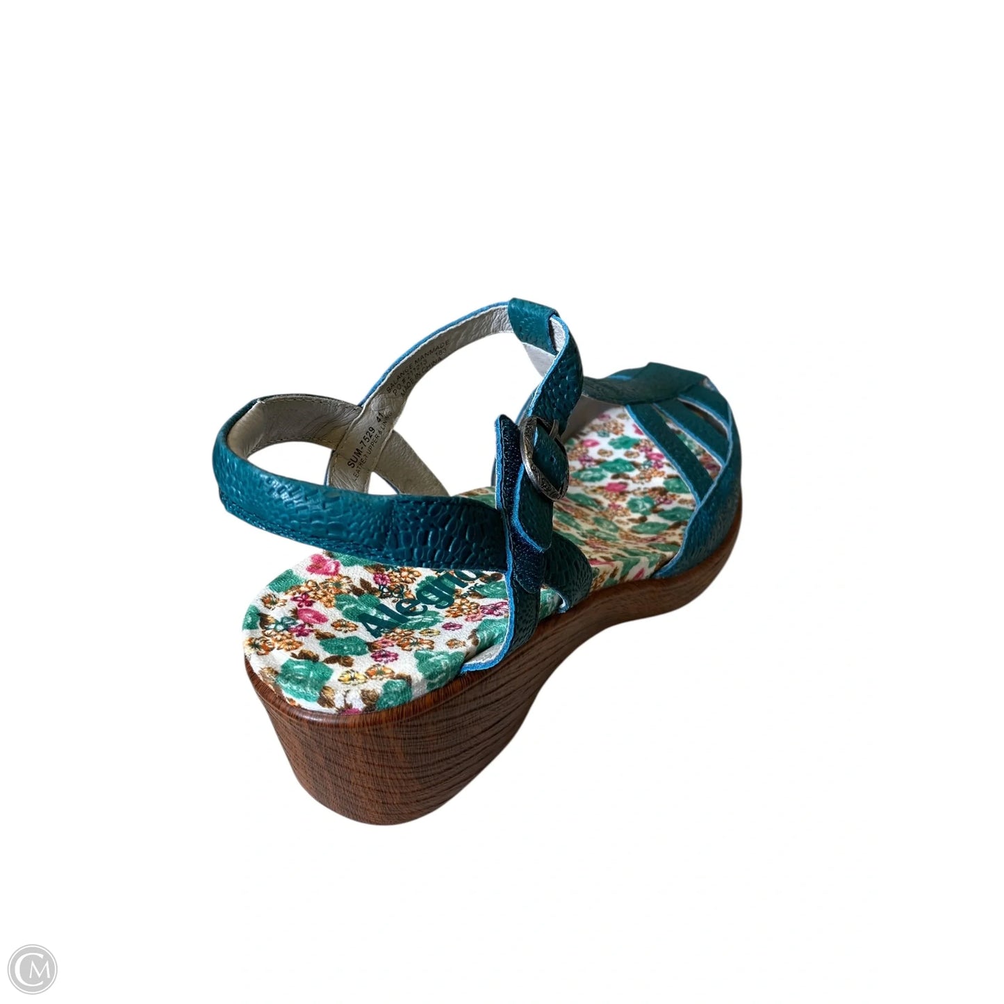 Shoes Flats By Alegria In Multi-colored, Size: 10.5