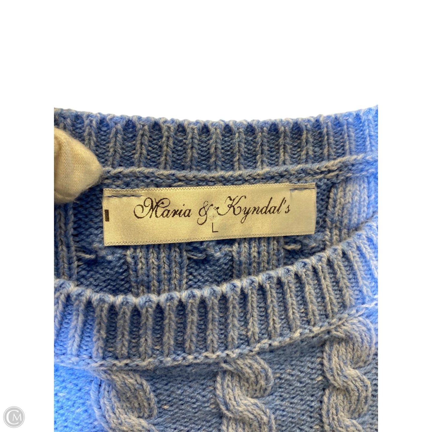 Sweater By Clothes Mentor In Blue, Size: L