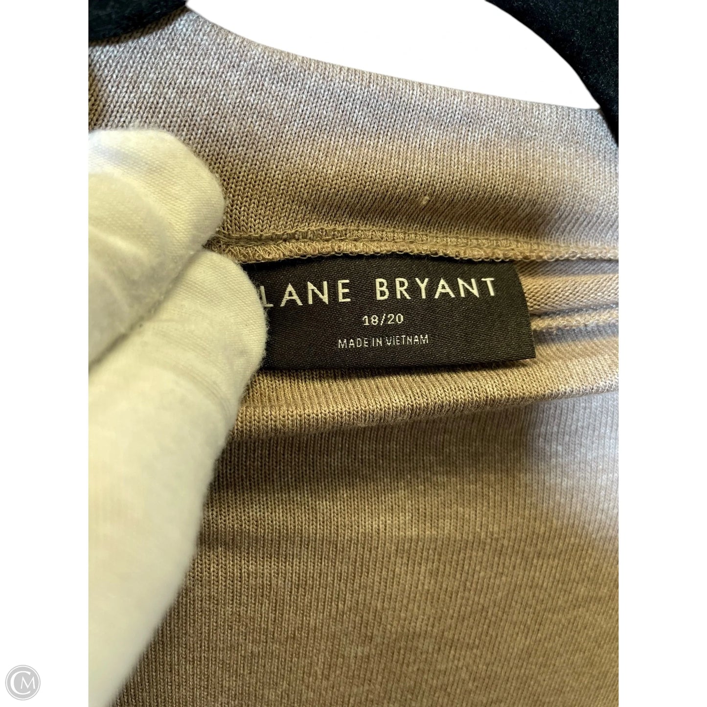 Top Long Sleeve By Lane Bryant In Taupe, Size: 1x