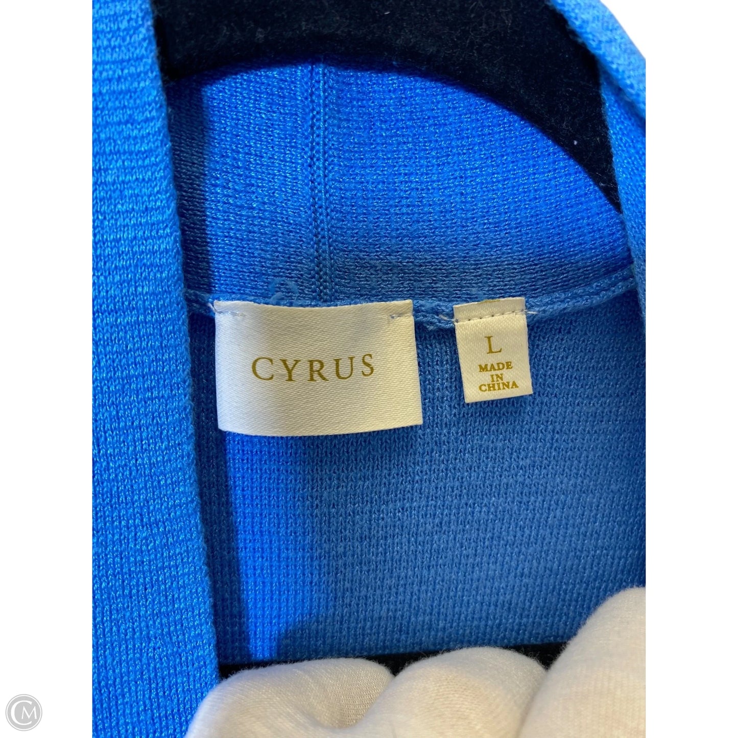 Cardigan By Cyrus In Blue, Size: L
