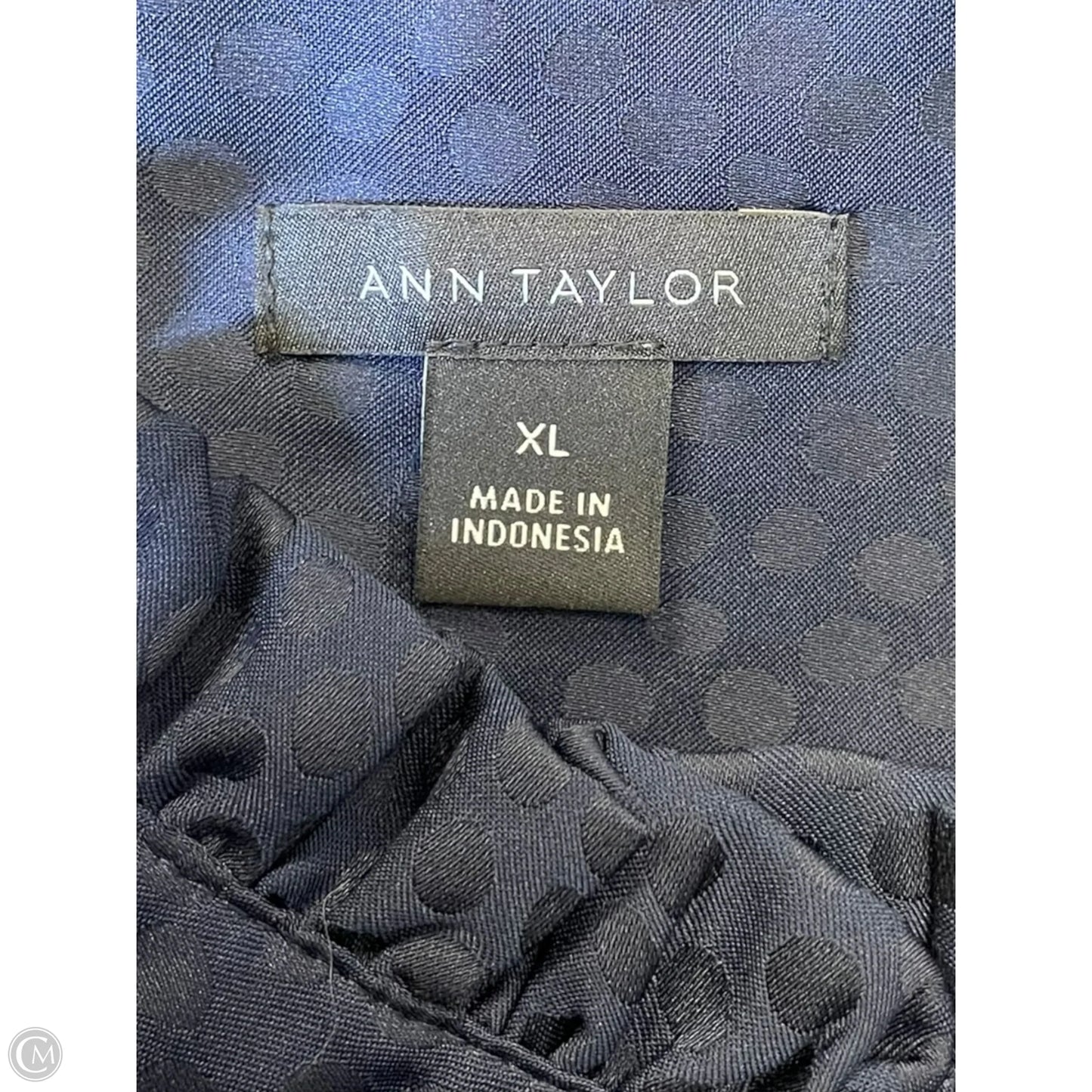 Top Long Sleeve By Ann Taylor In Blue, Size: Xl