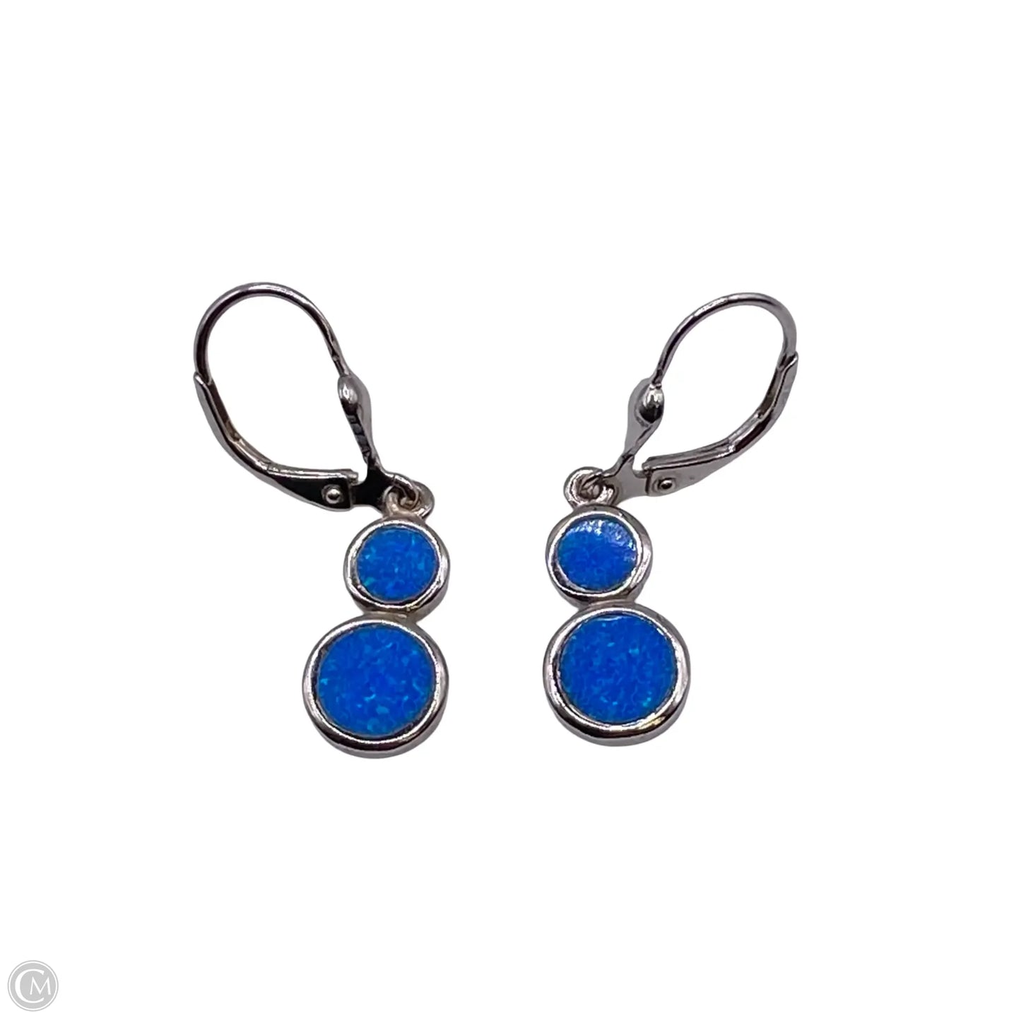 Earrings Dangle/drop By Clothes Mentor