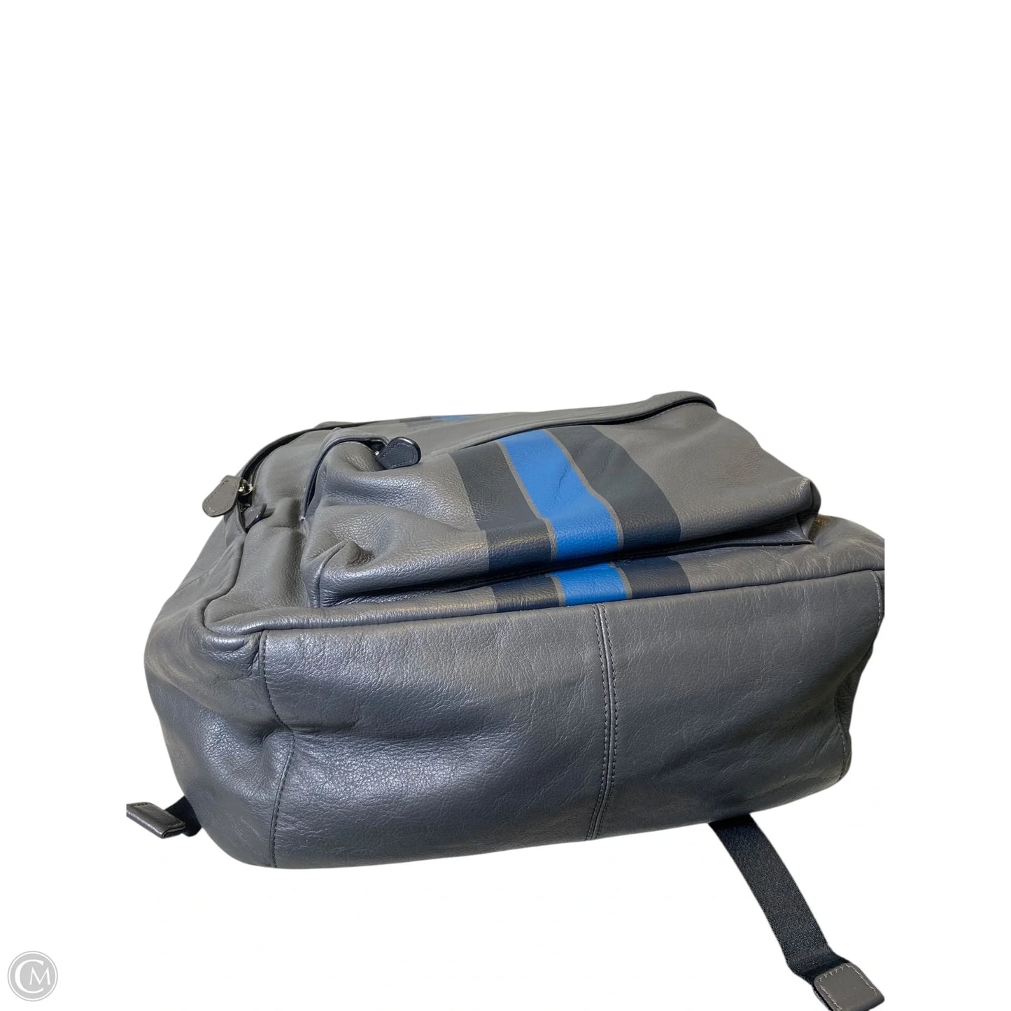 Backpack Designer By Coach, Size: Large