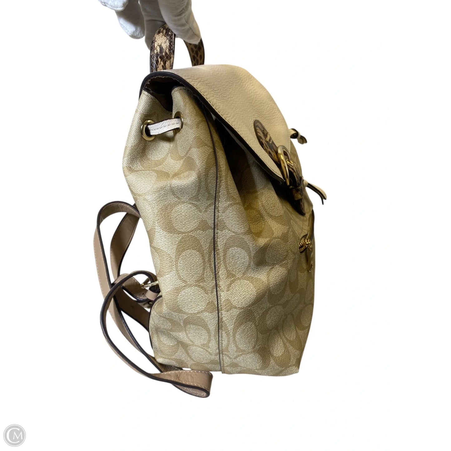 Backpack Designer By Coach, Size: Medium