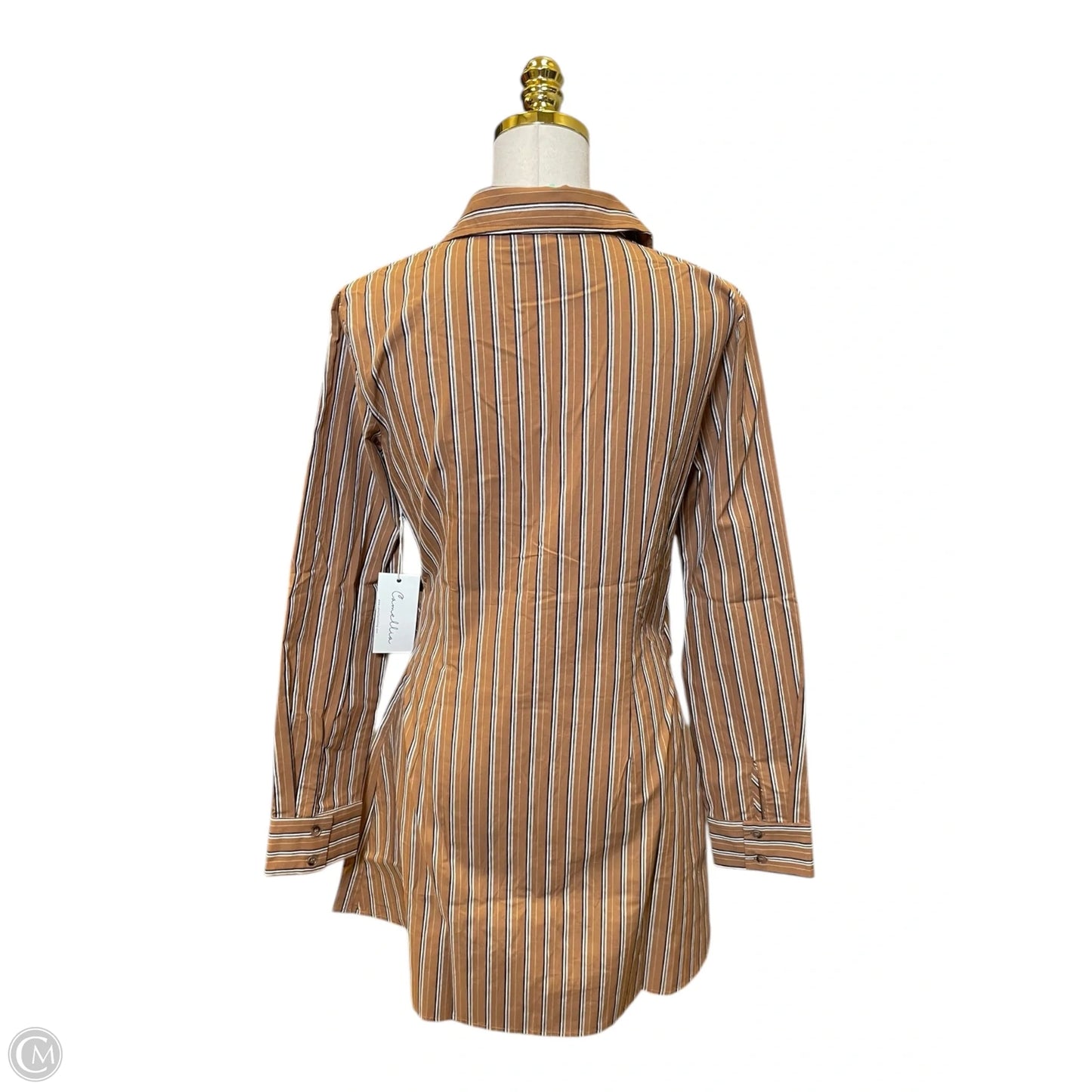 Dress Casual Short By Clothes Mentor In Striped Pattern, Size: M