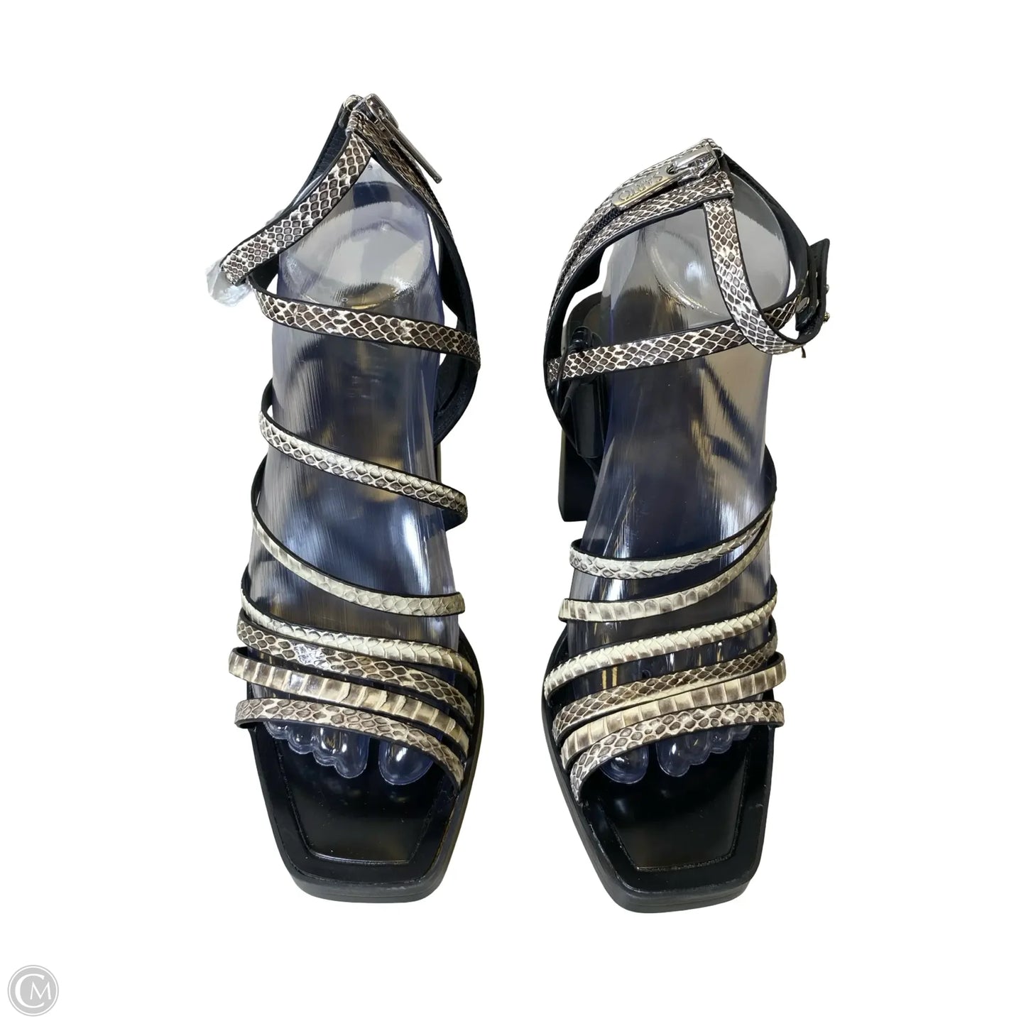 Shoes Heels Block By Franco Sarto In Snakeskin Print, Size: 9