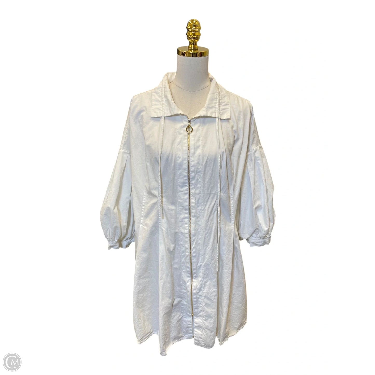 Dress Casual Short By Clothes Mentor In White, Size: Xl