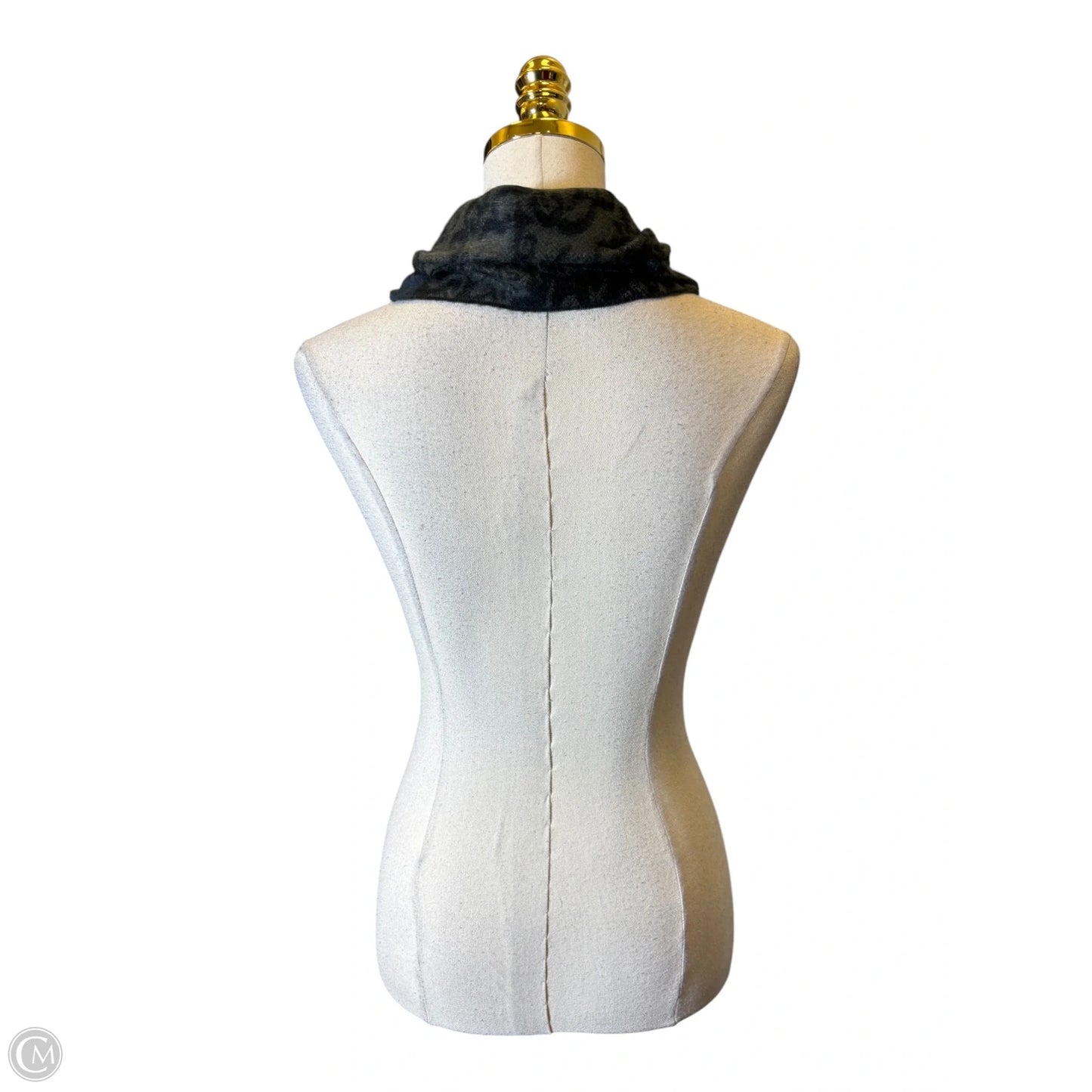 Scarf Winter By Clothes Mentor In Grey