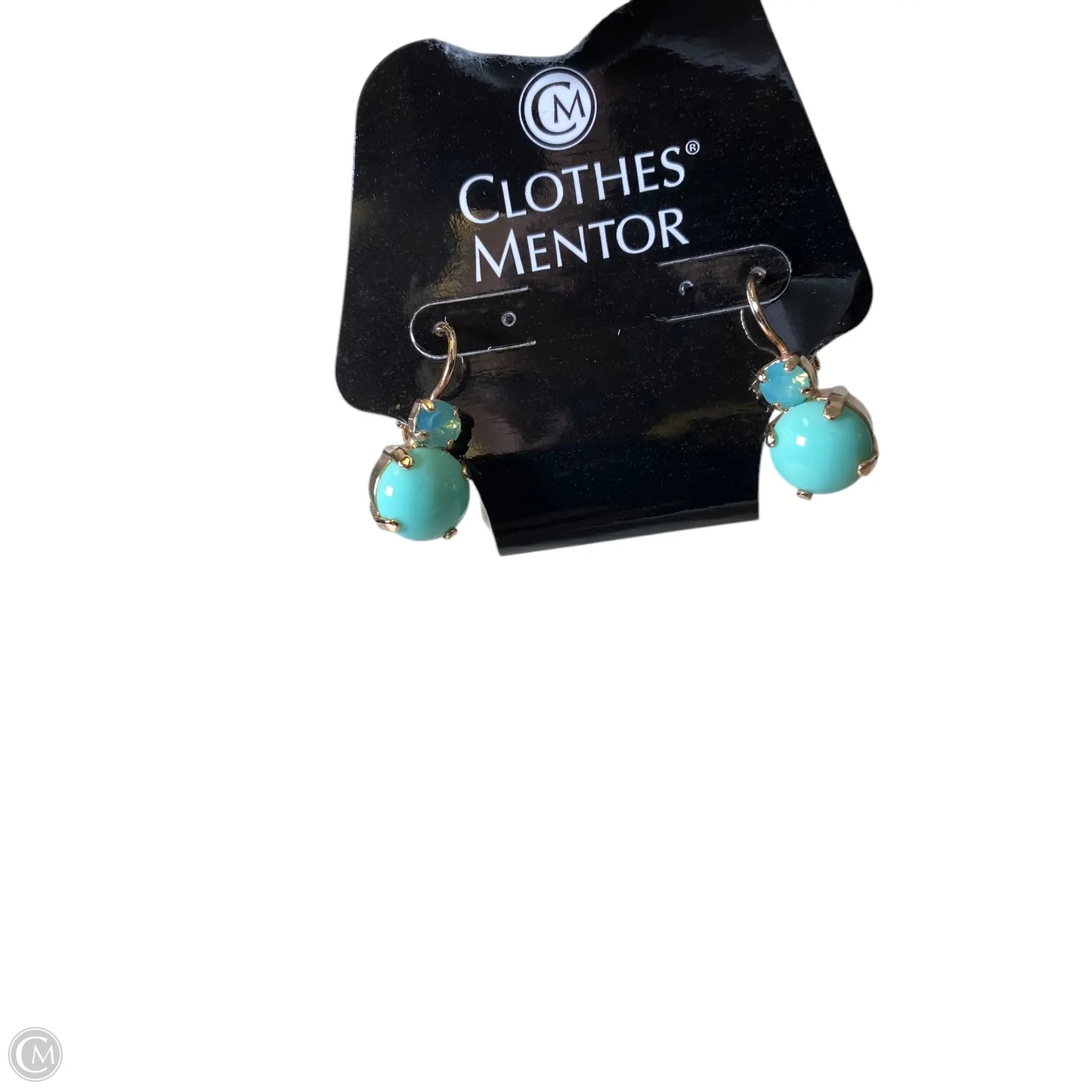 Earrings Clip By Clothes Mentor