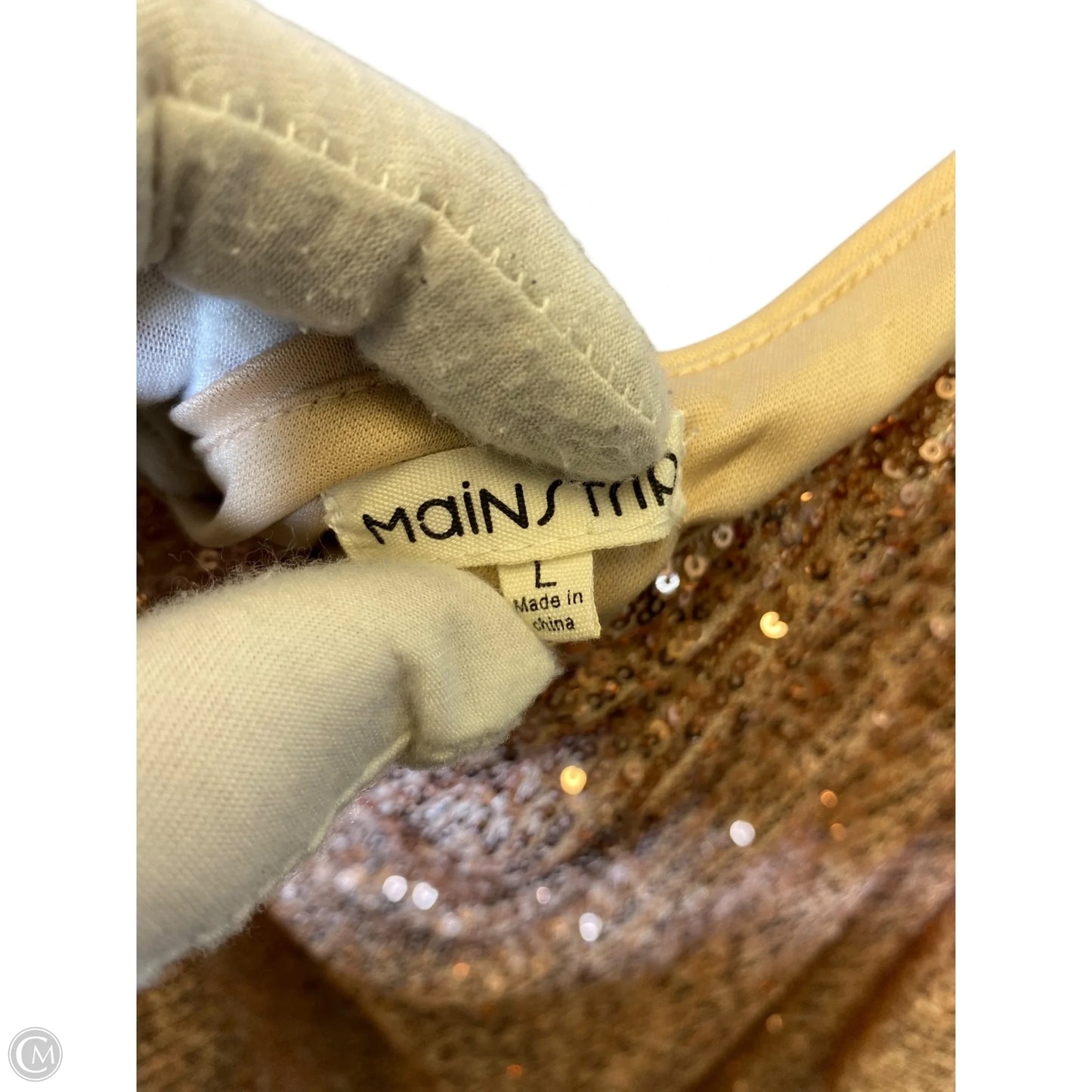 Top Sleeveless By Main Strip In Bronze, Size: L