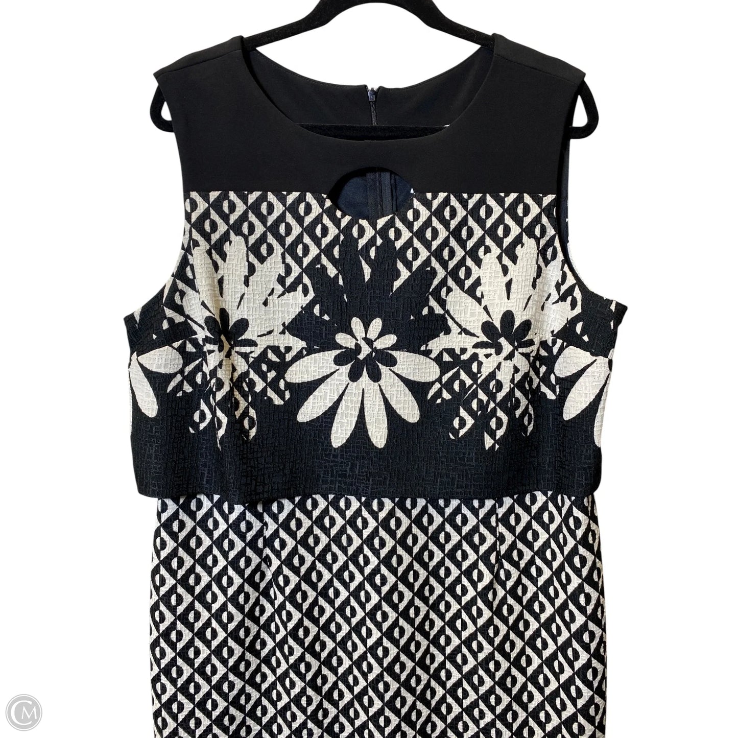Dress Casual Short By Joseph Ribkoff In Black & Cream, Size: 18