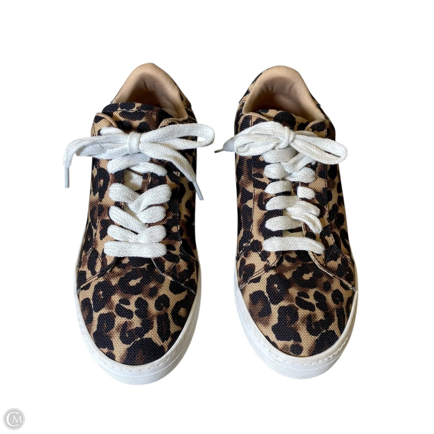 Shoes Flats By Steve Madden In Animal Print, Size: 7