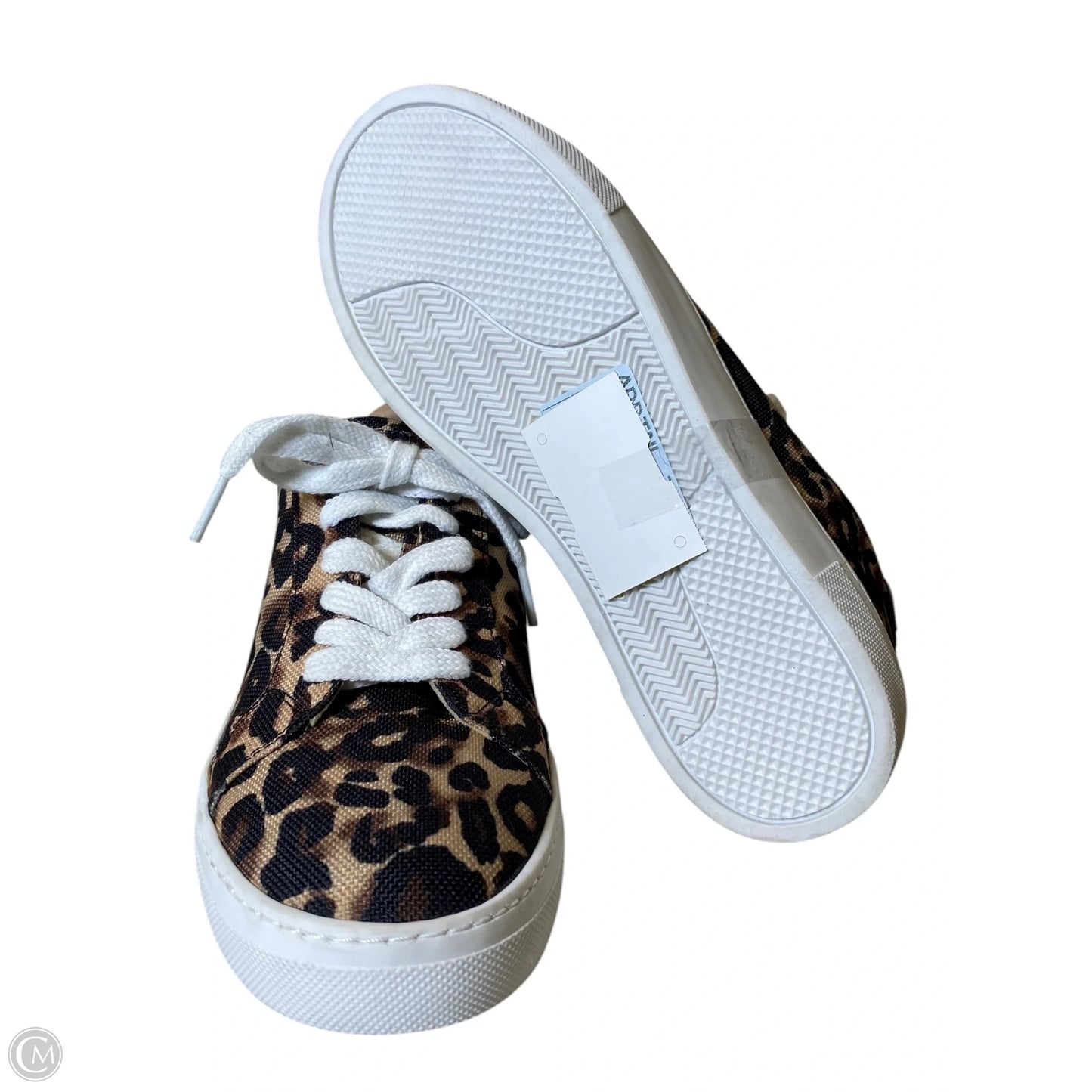 Shoes Flats By Steve Madden In Animal Print, Size: 7