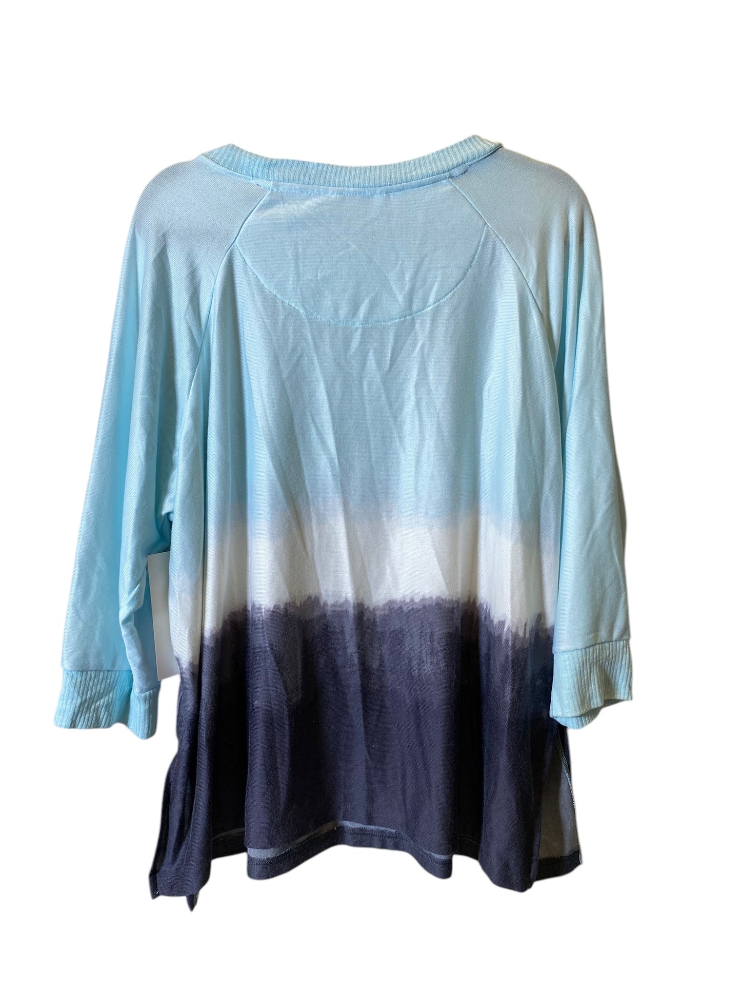 Top Long Sleeve By Secret Treasures In Blue, Size: 2x