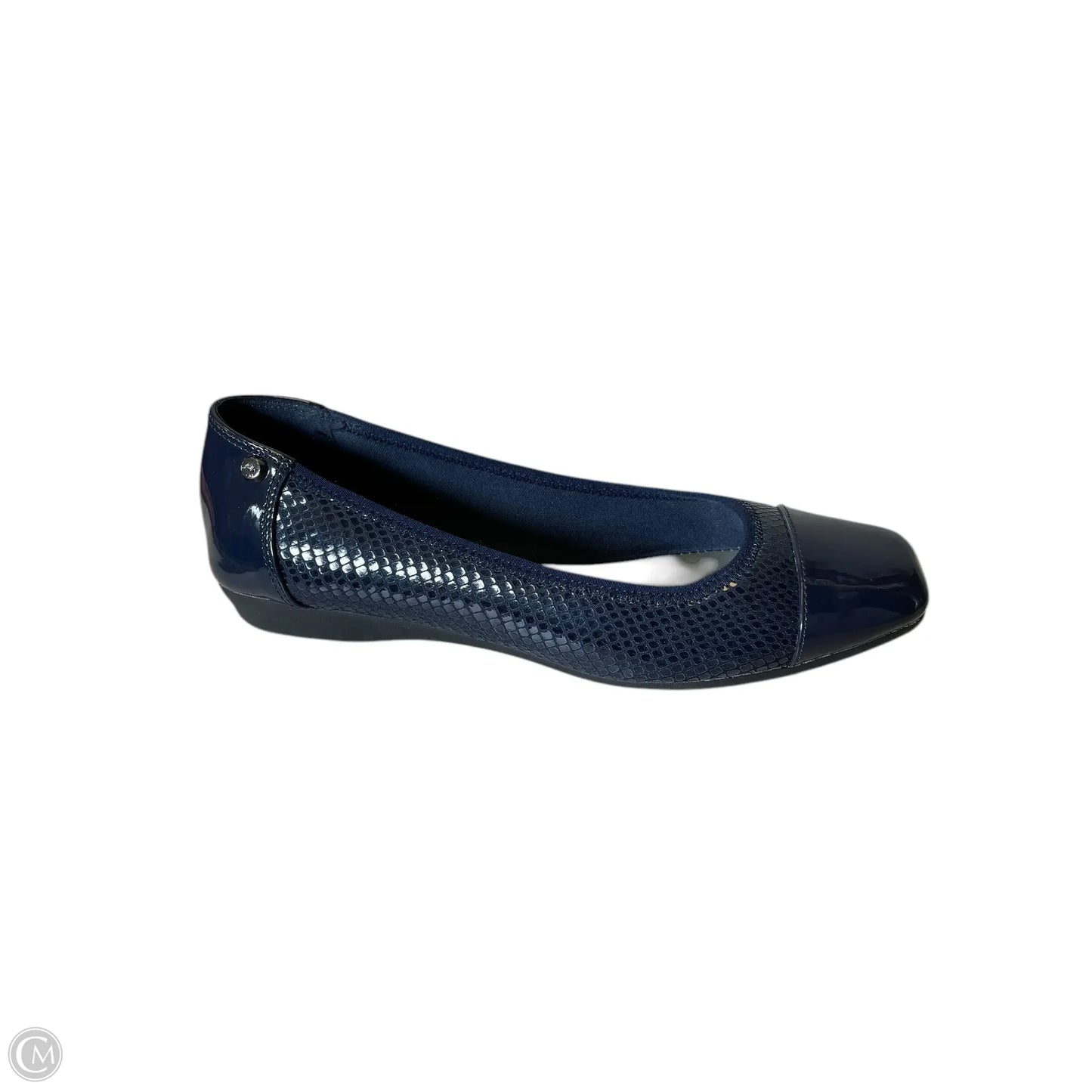 Shoes Flats By Anne Klein In Blue, Size: 8