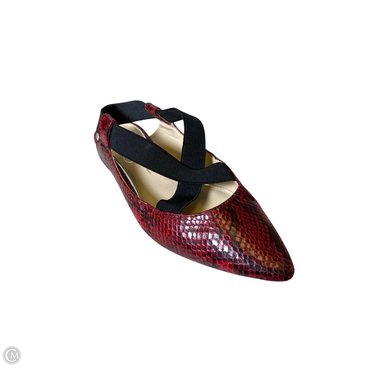 Shoes Flats By Jessica Simpson In Snakeskin Print, Size: 7