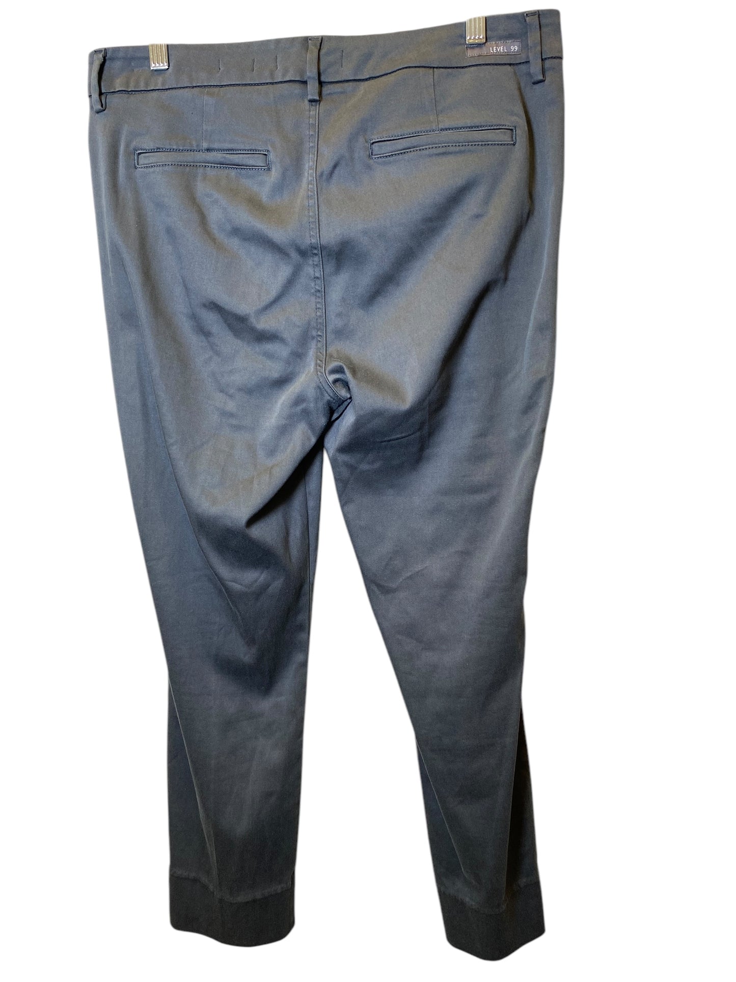 Pants Other By Level 99 In Grey, Size: 14