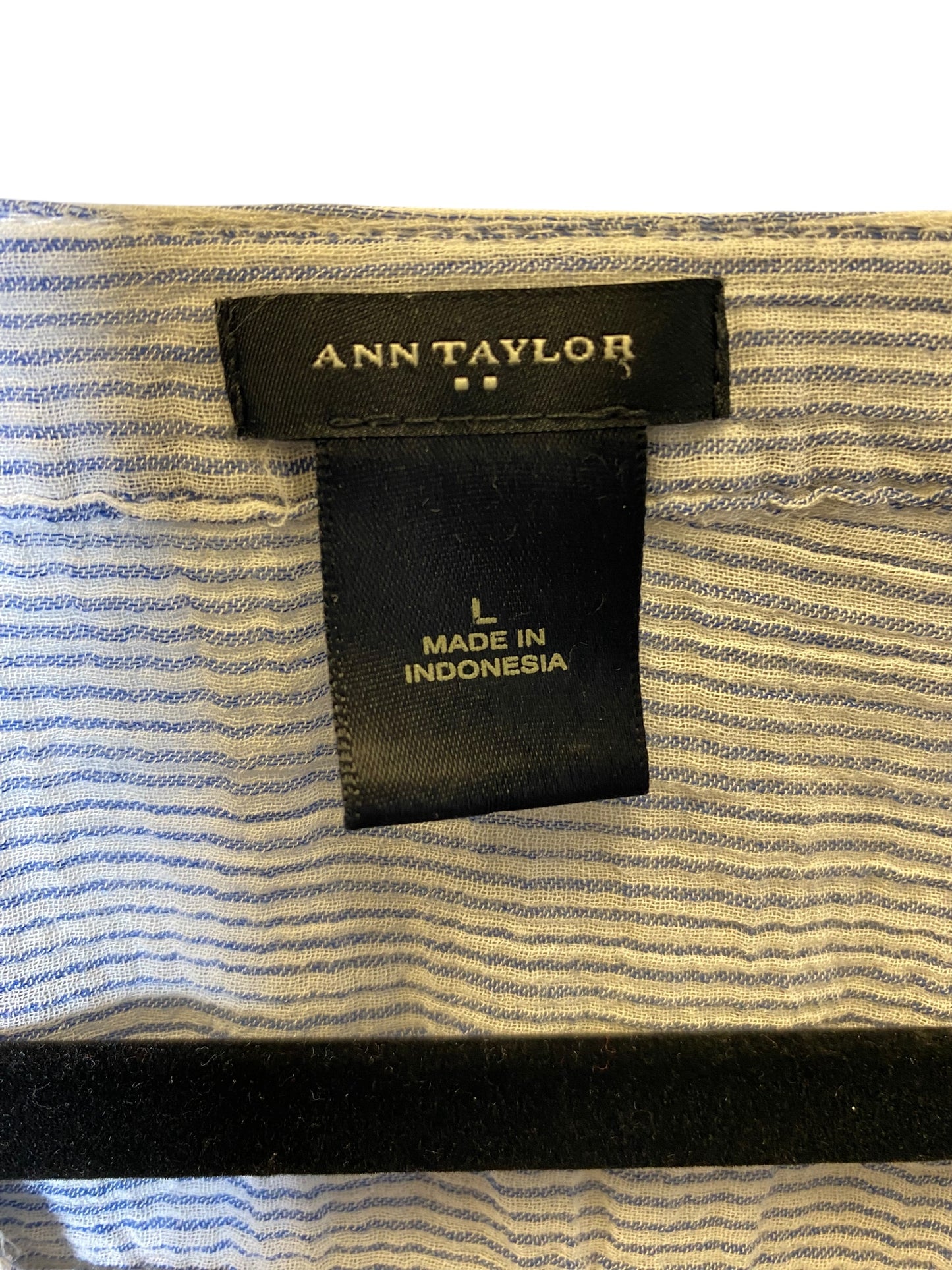 Top Long Sleeve By Ann Taylor In Striped Pattern, Size: L