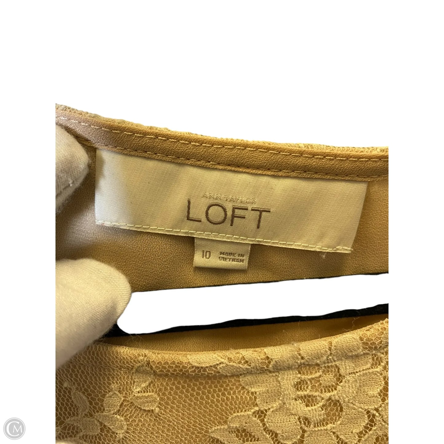 Top Sleeveless By Loft In Black & Tan, Size: M