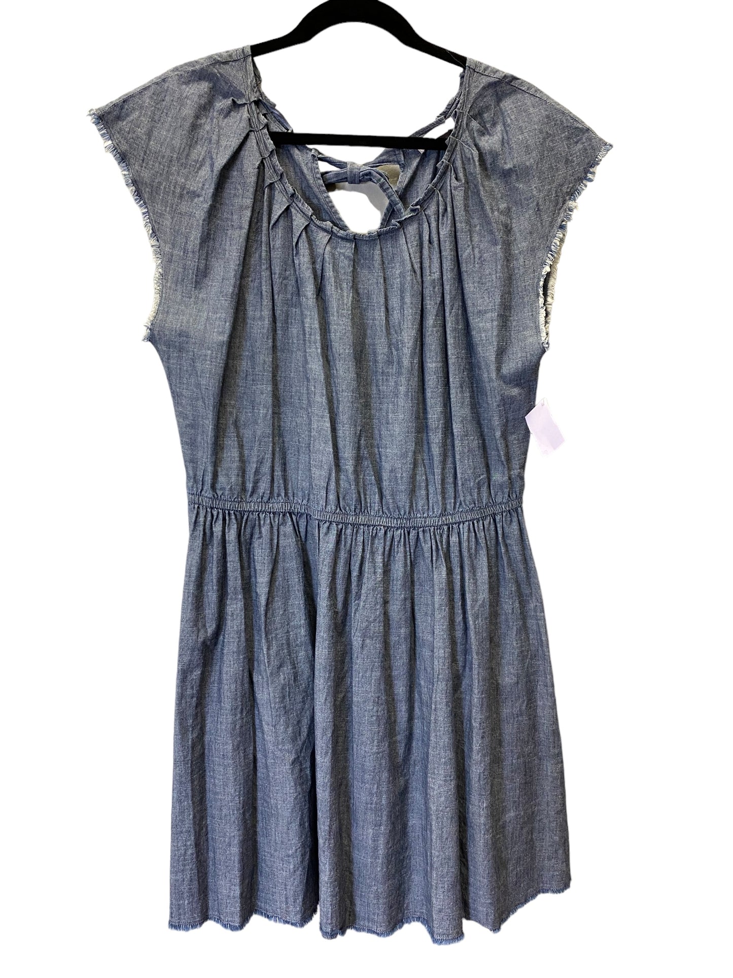 Dress Casual Short By Clothes Mentor In Blue Denim, Size: Xl