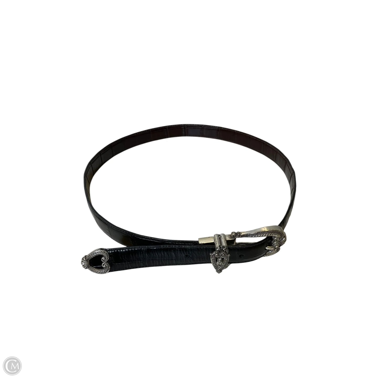 Belt By Brighton