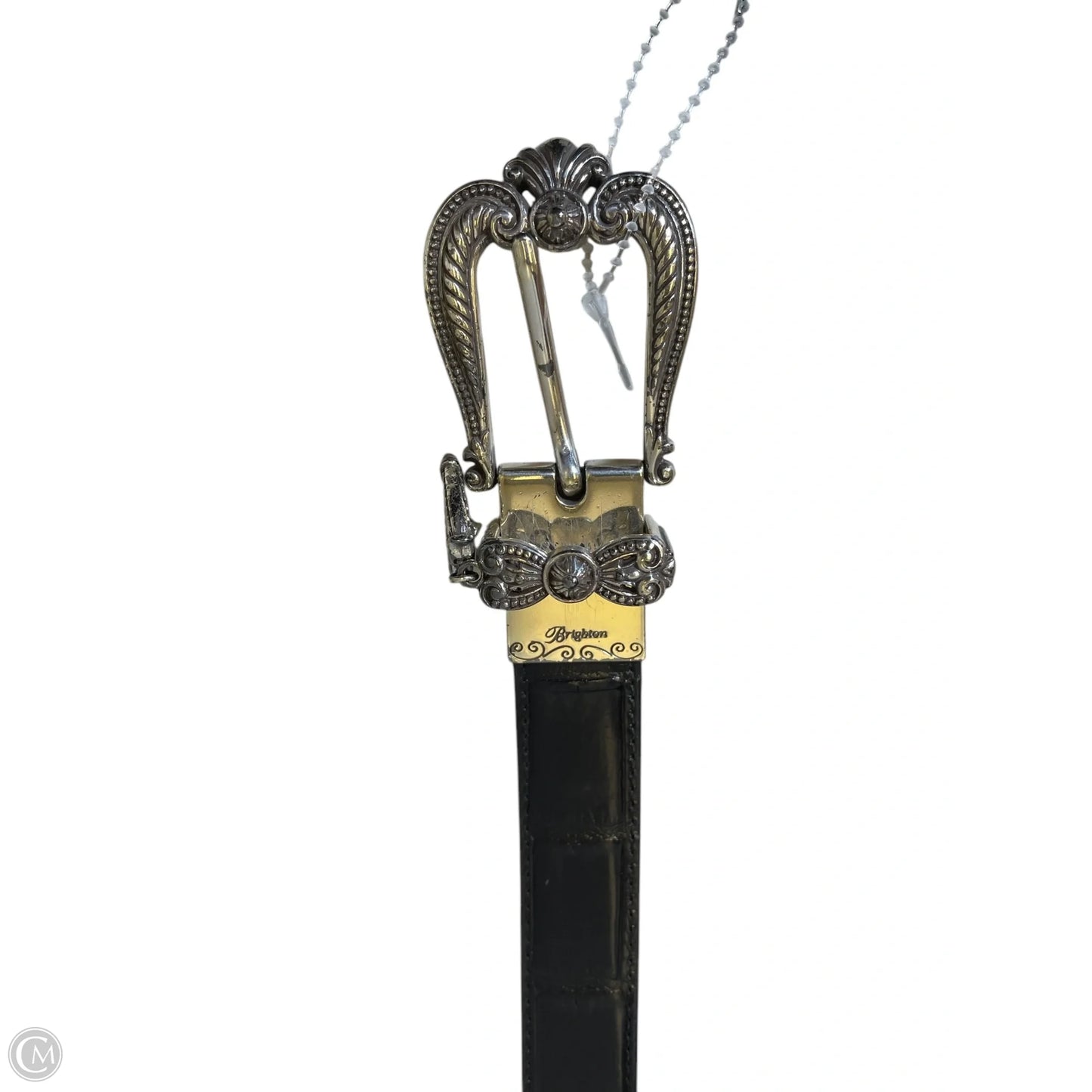 Belt By Brighton