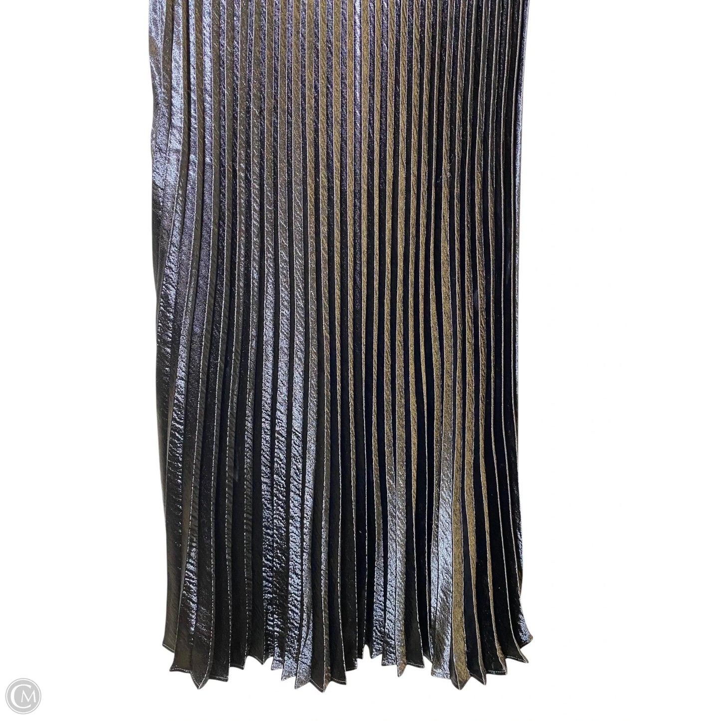 Skirt Maxi By Express In Black, Size: Xs