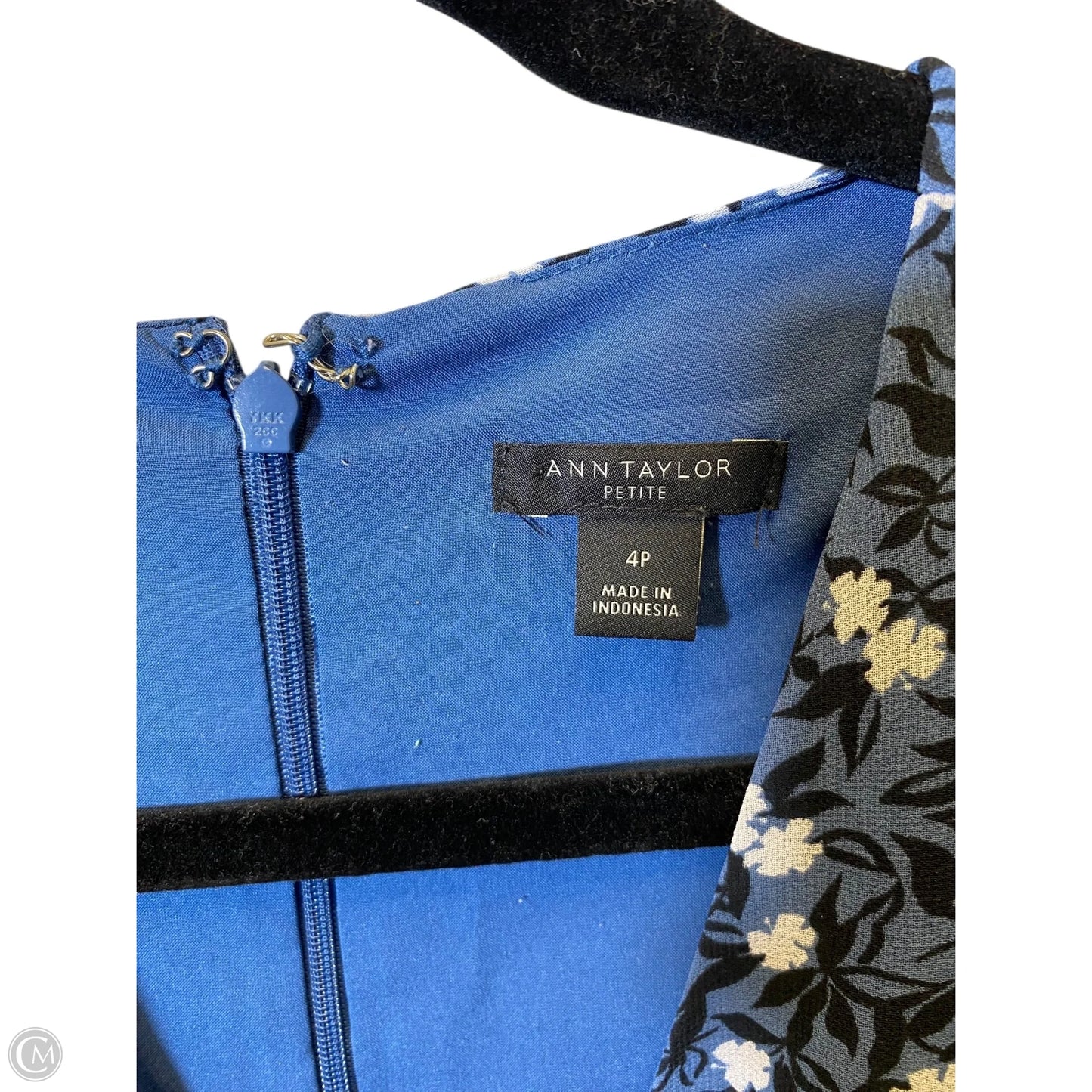 Dress Casual Short By Ann Taylor In Floral Print, Size: 4