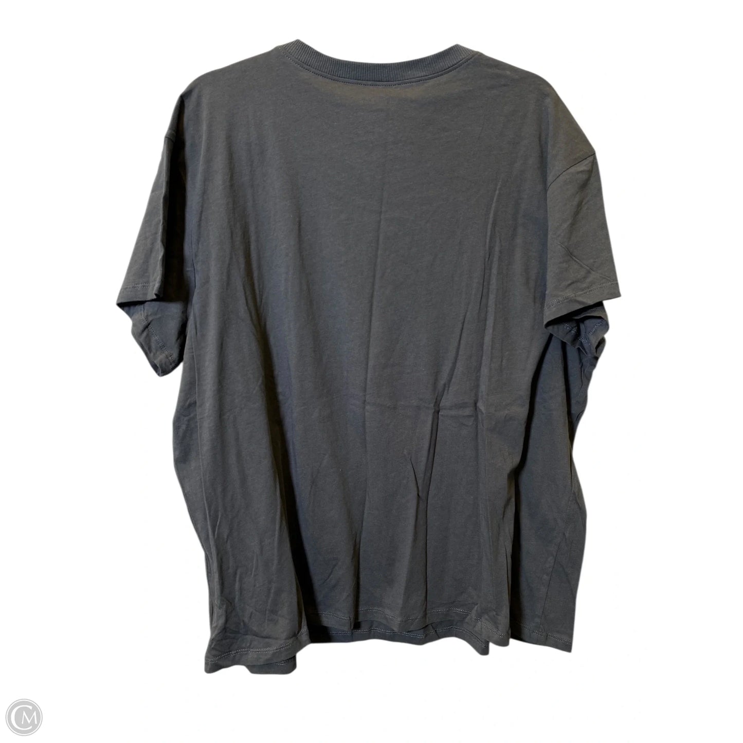 Top Short Sleeve By Torrid In Grey, Size: 1x