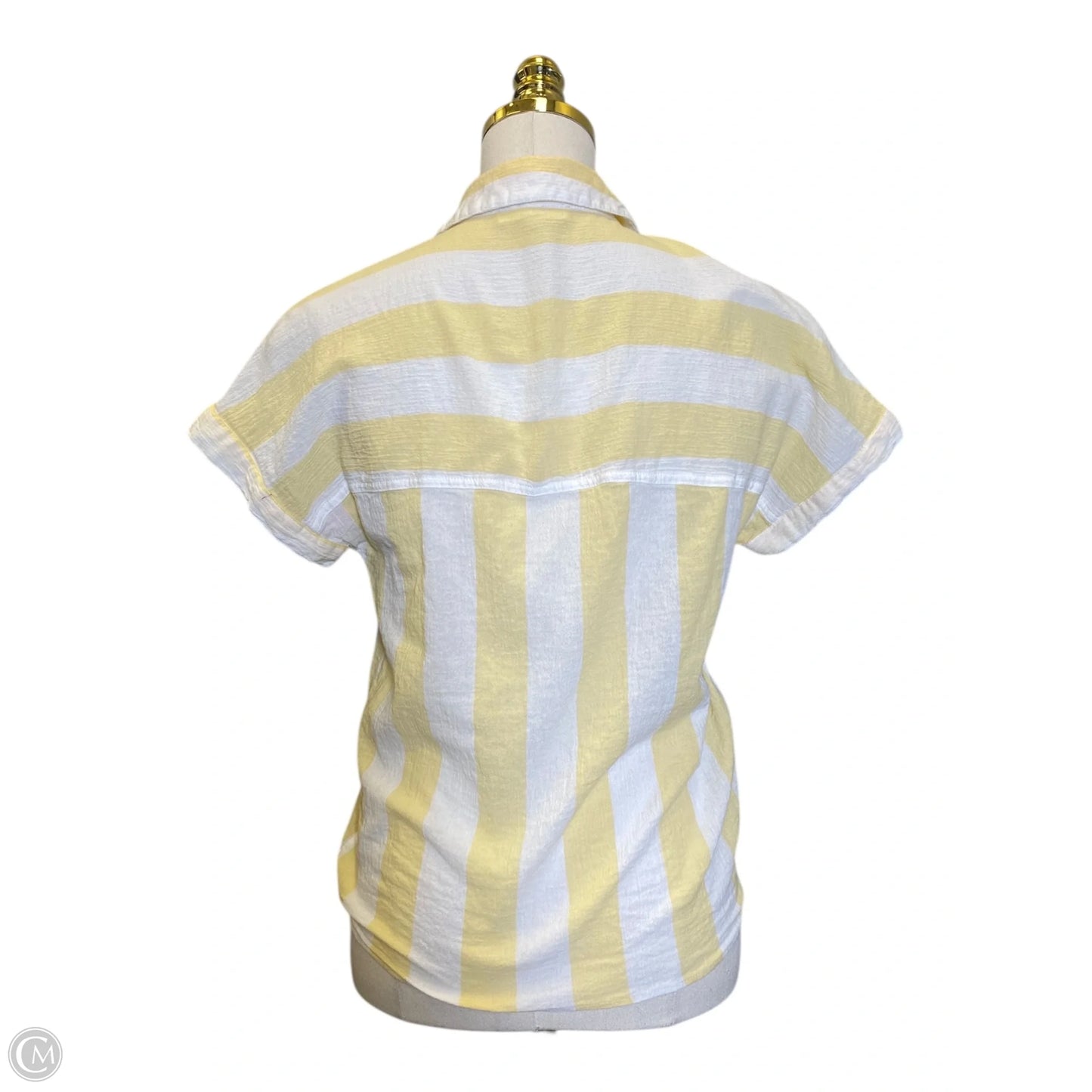 Blouse Short Sleeve By Beachlunchlounge In White & Yellow, Size: Xs