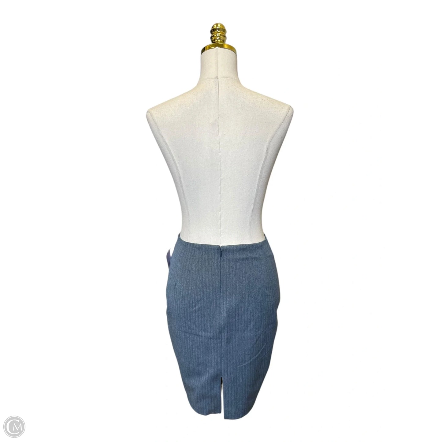 Skirt Midi By Express In Blue, Size: 0