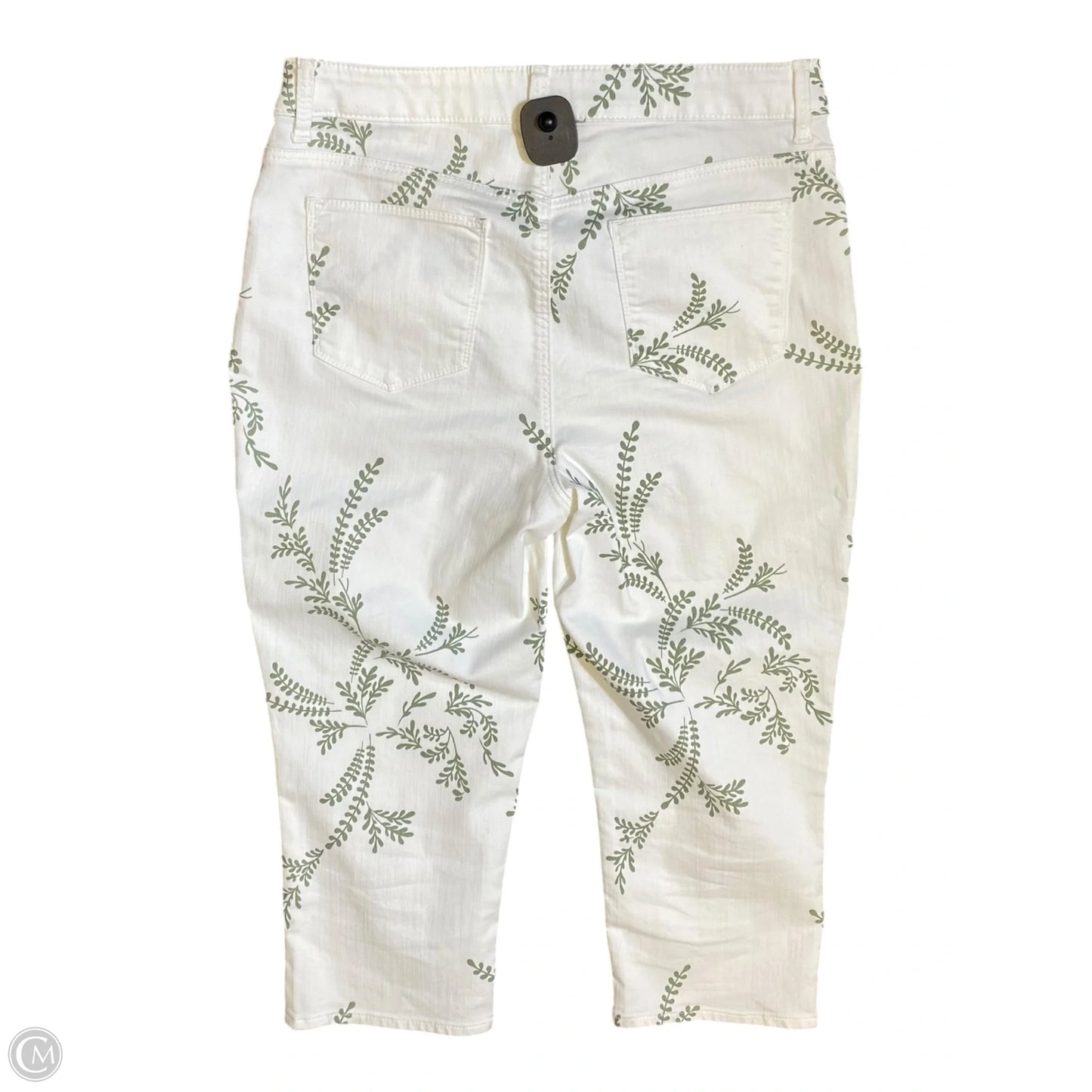 Jeans Cropped By Chicos In Green & White, Size: 10